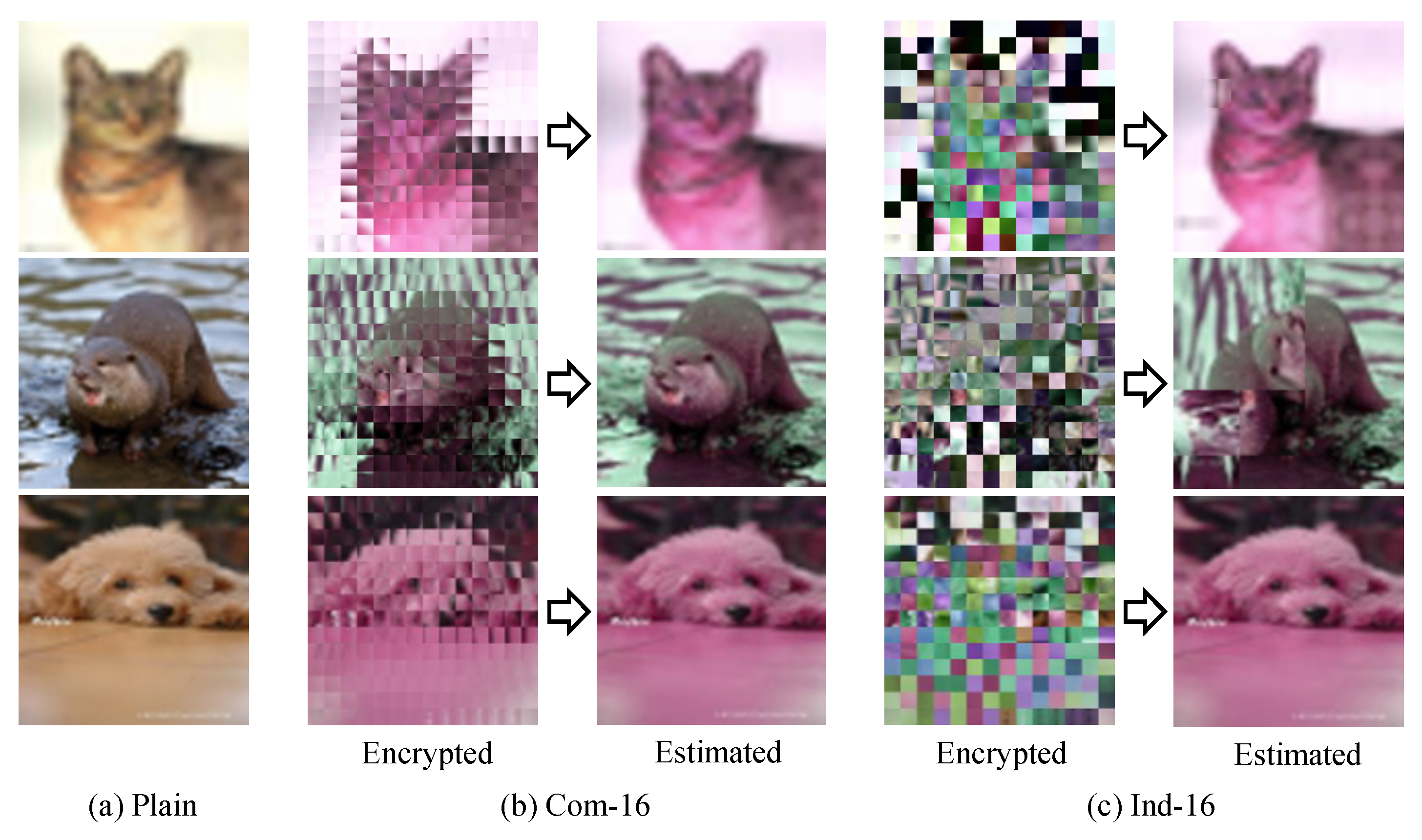 Information 15 00723 g012