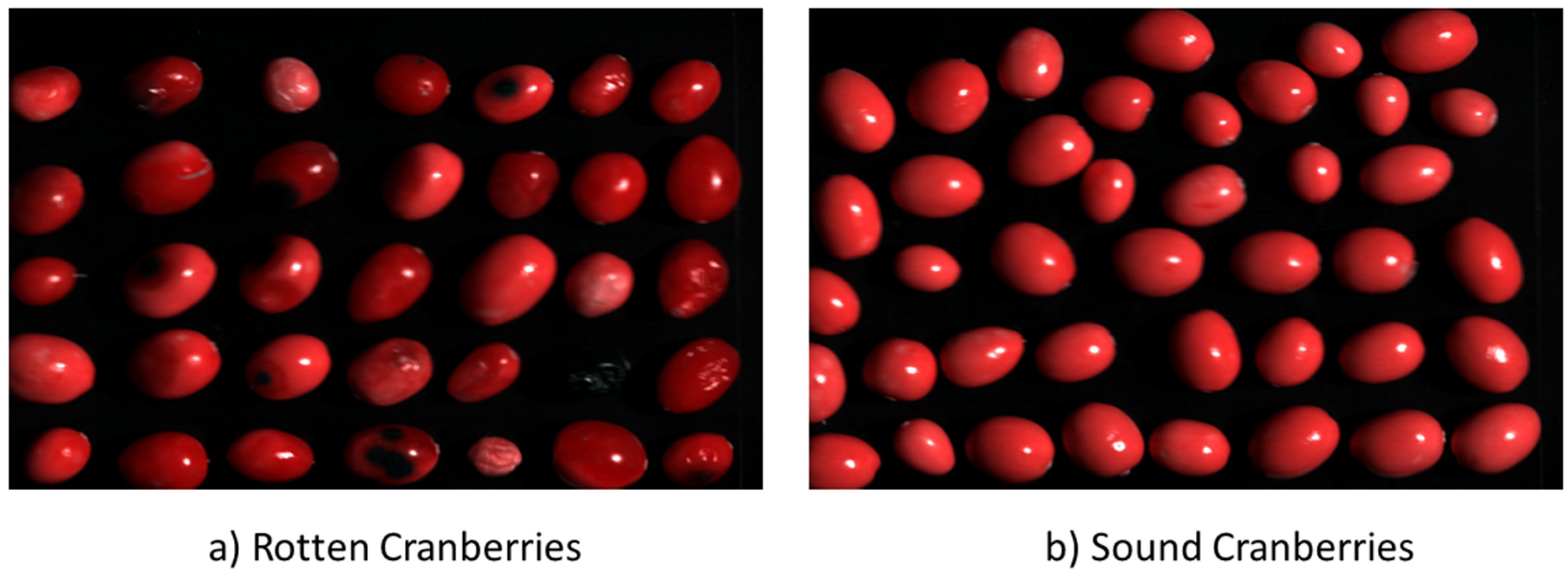 Information 15 00731 g001