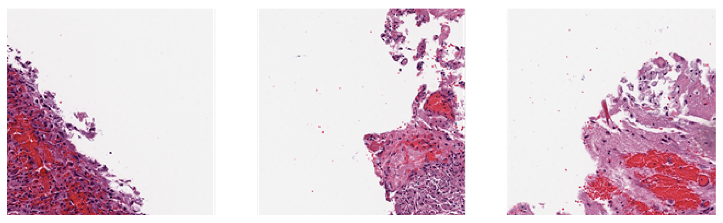 Information 15 00750 g002