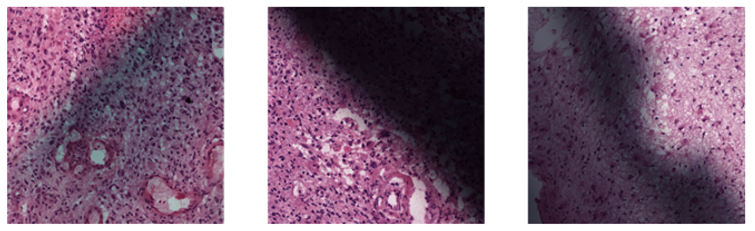 Information 15 00750 g003