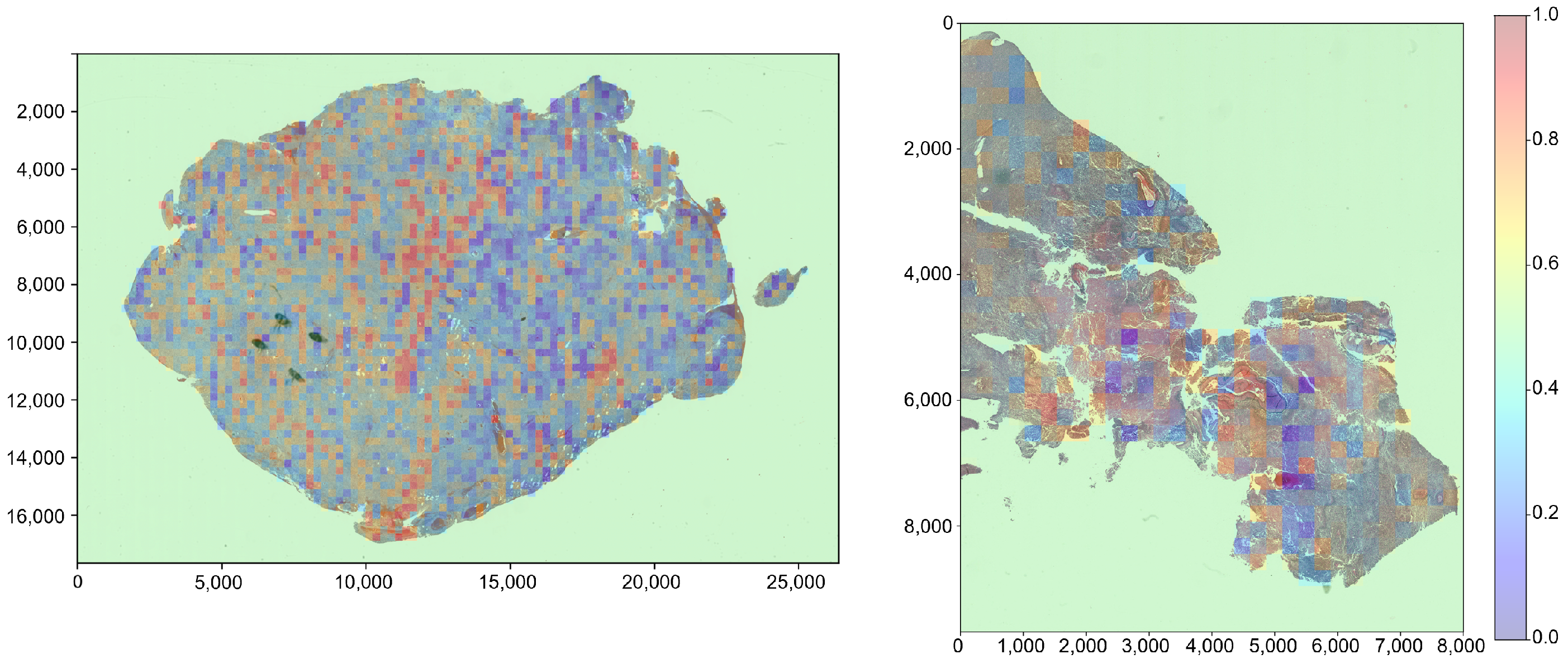 Information 15 00750 g005