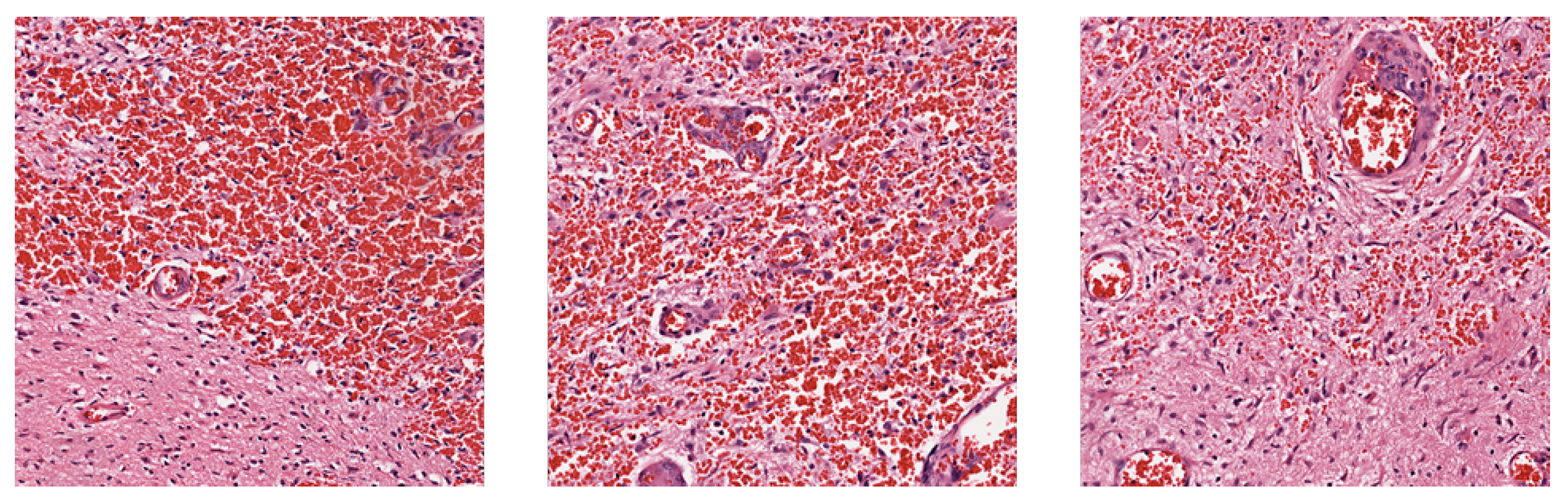 Information 15 00750 g006