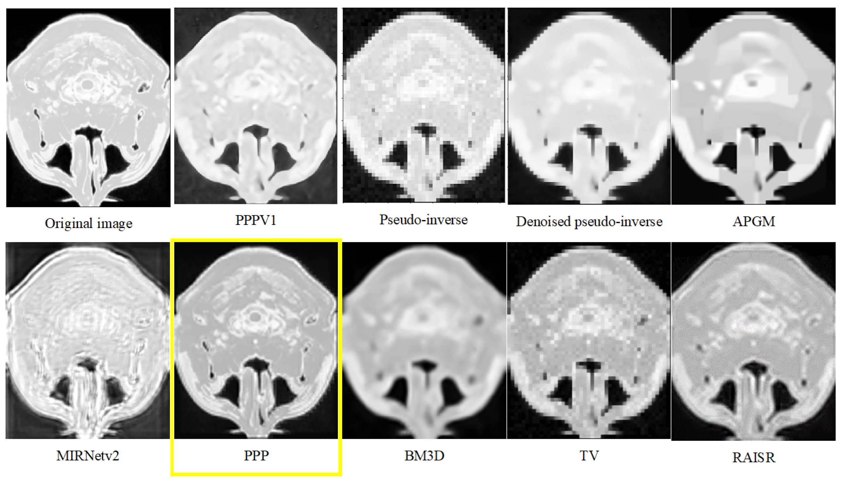 Information 15 00770 g001