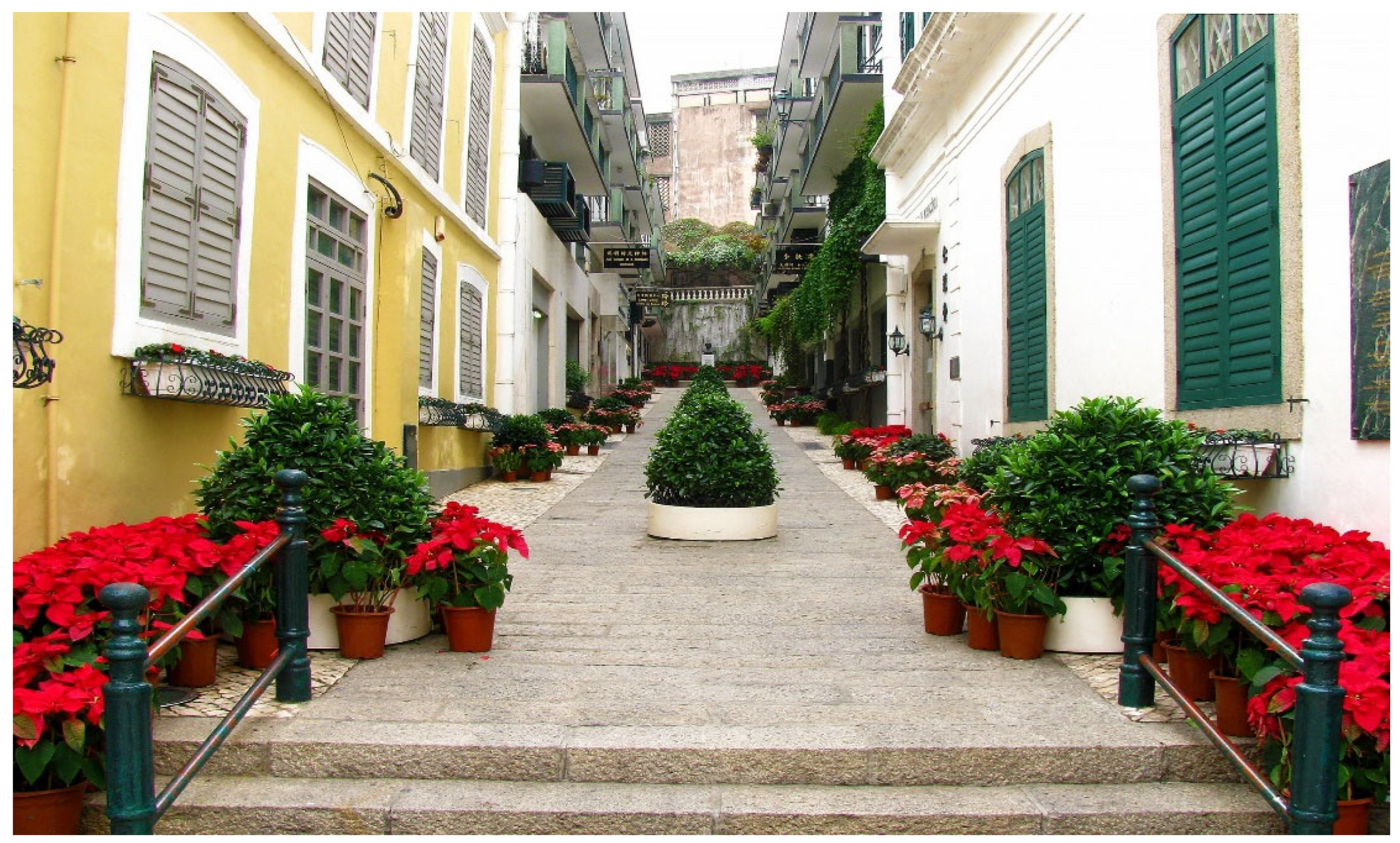 Information 15 00799 g017