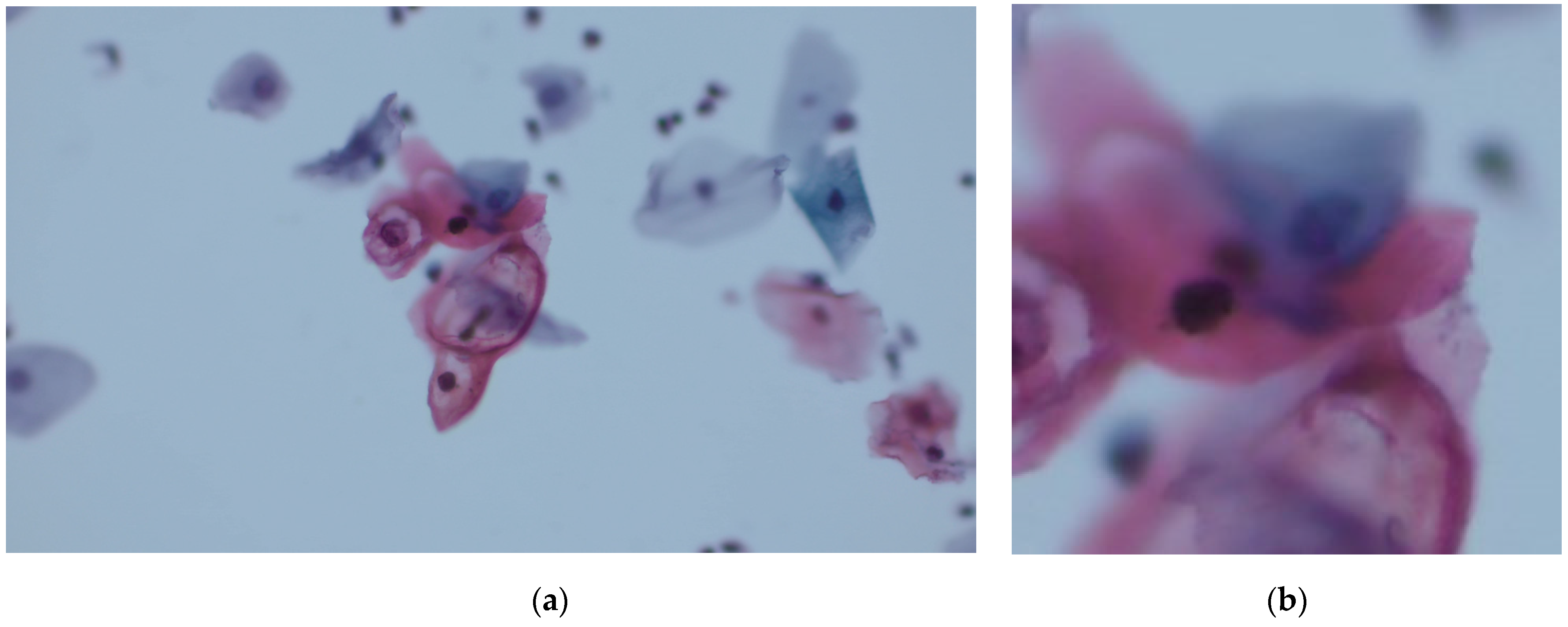 Information 15 00806 g001