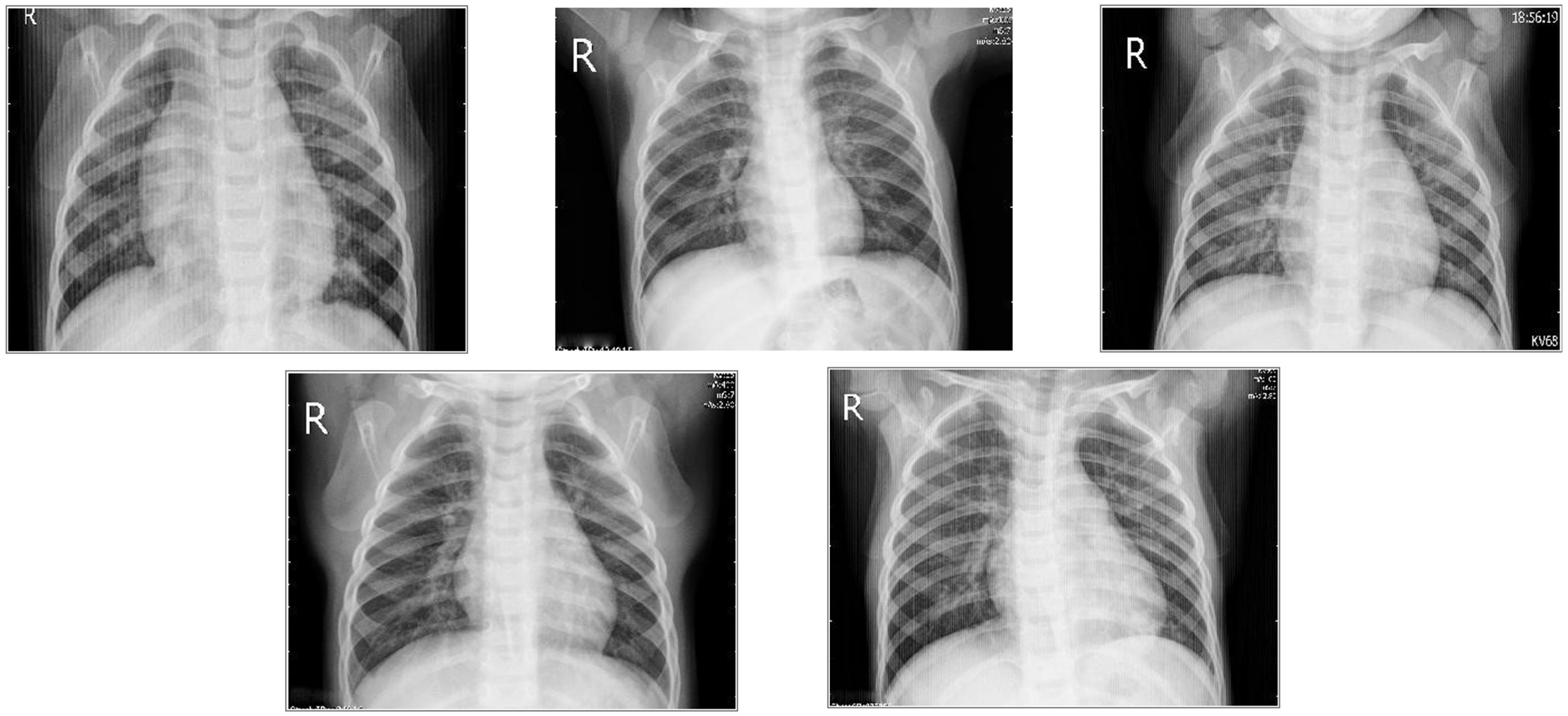 Information 15 00806 g002