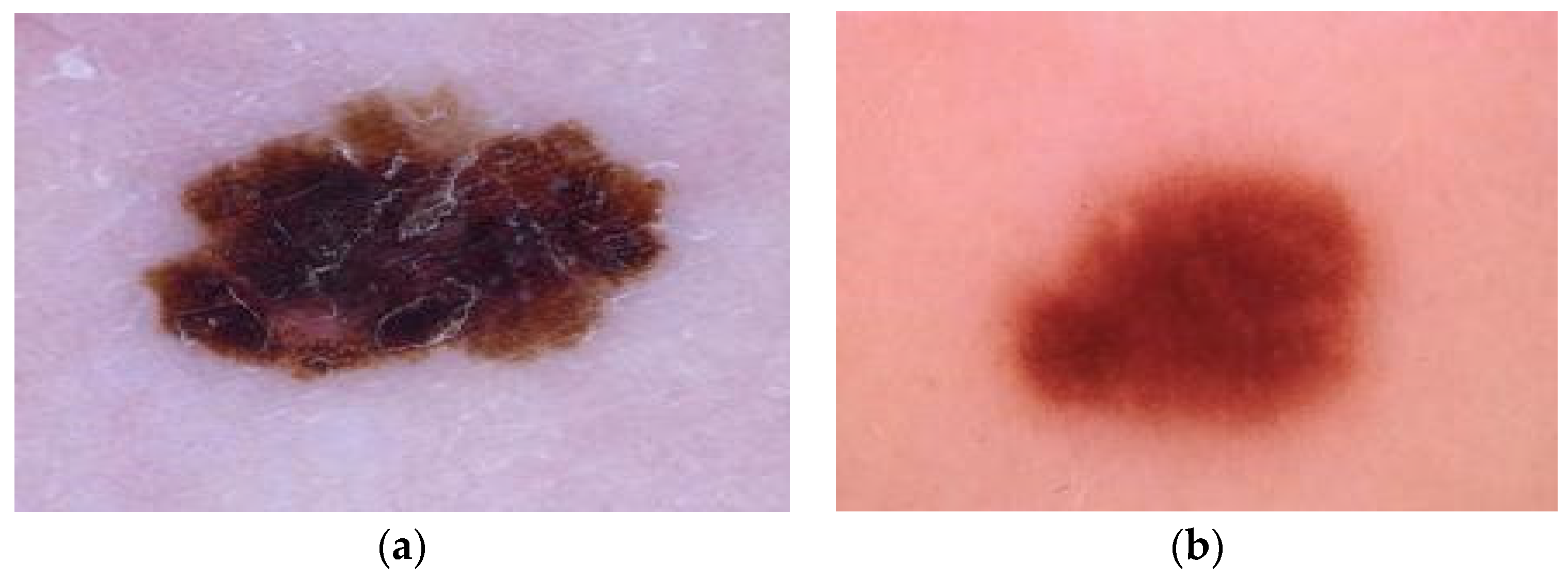 Information 15 00806 g004