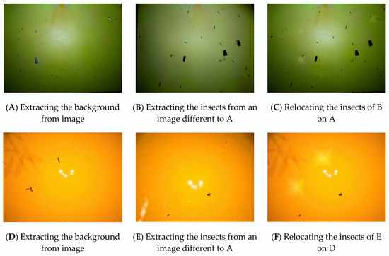 Image Augmentation Using Both Background Extraction and the SAHI ...