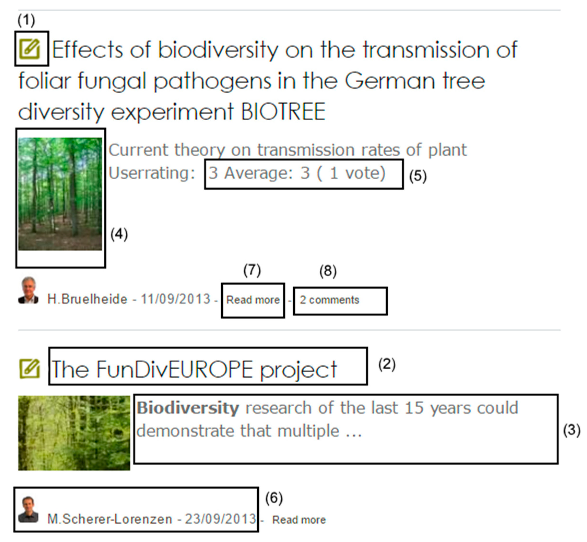 Information 16 00037 g005