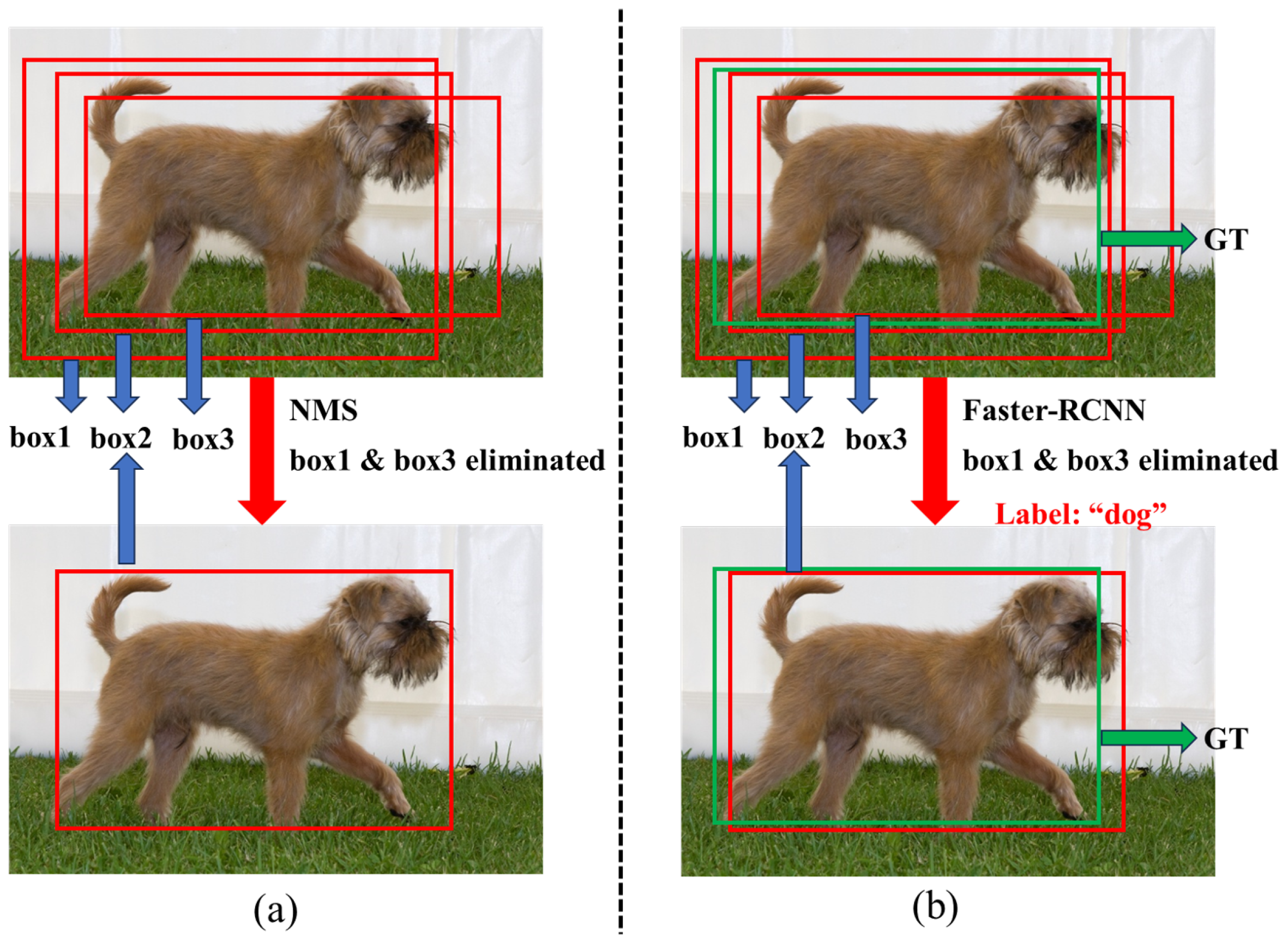 Information 16 00063 g001