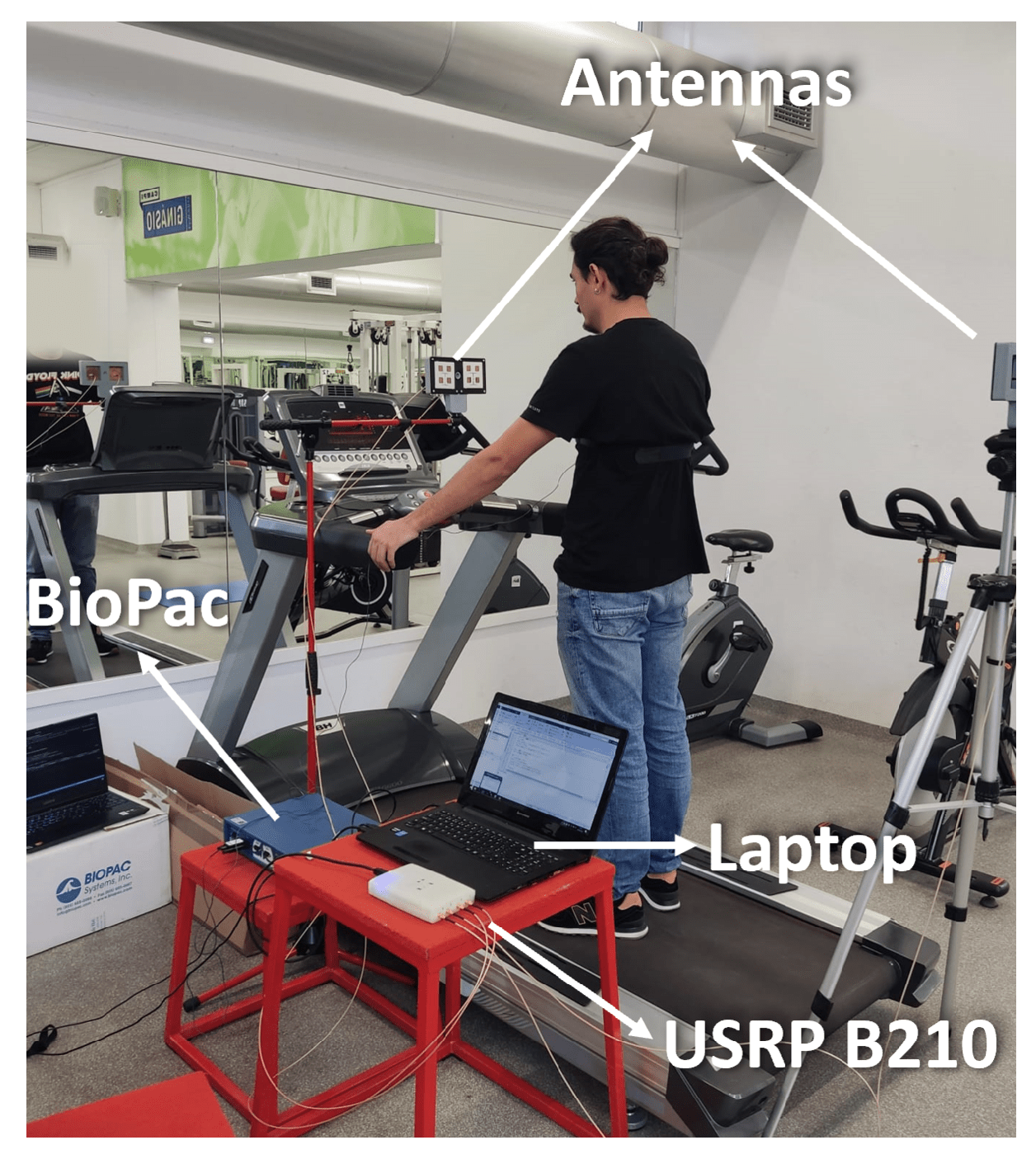 Information 16 00099 g004