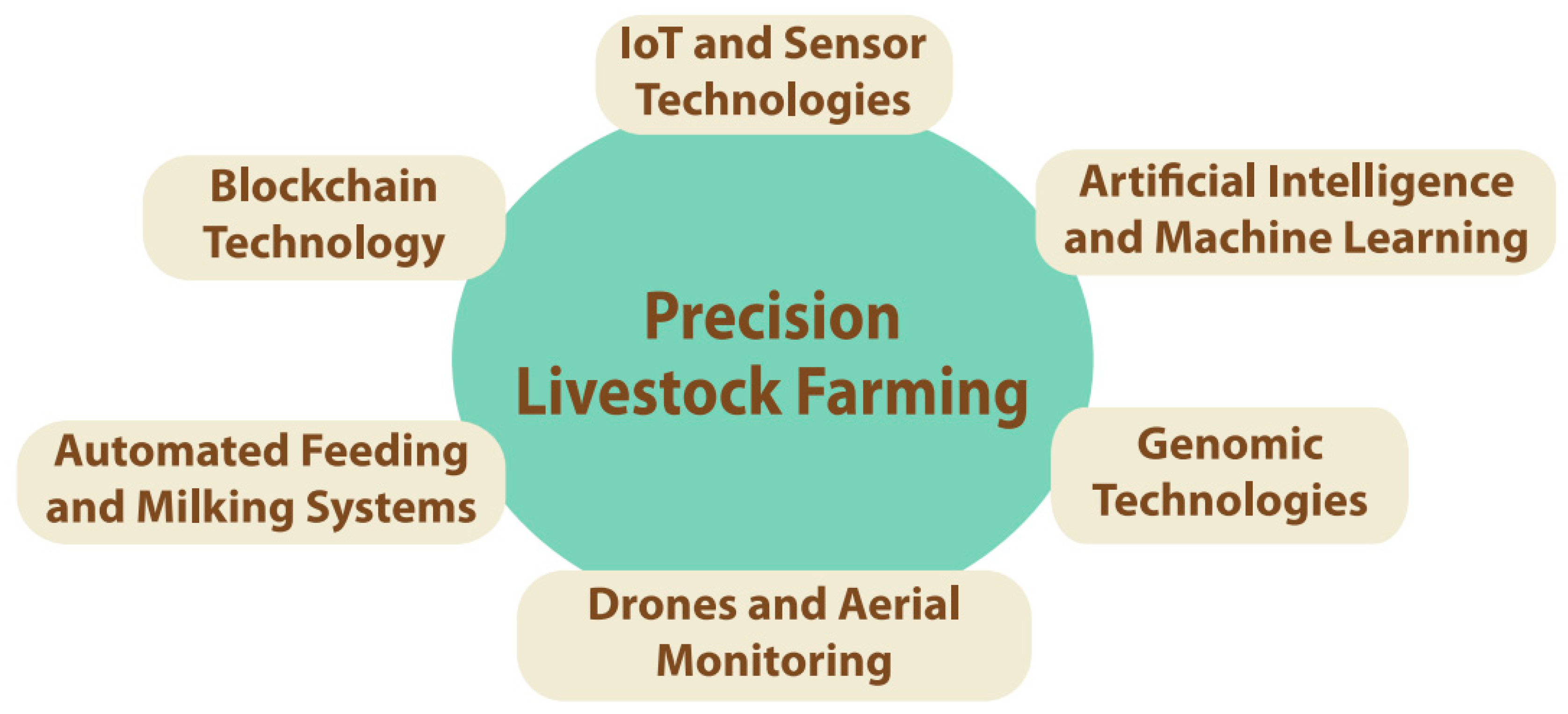 Information 16 00100 g006