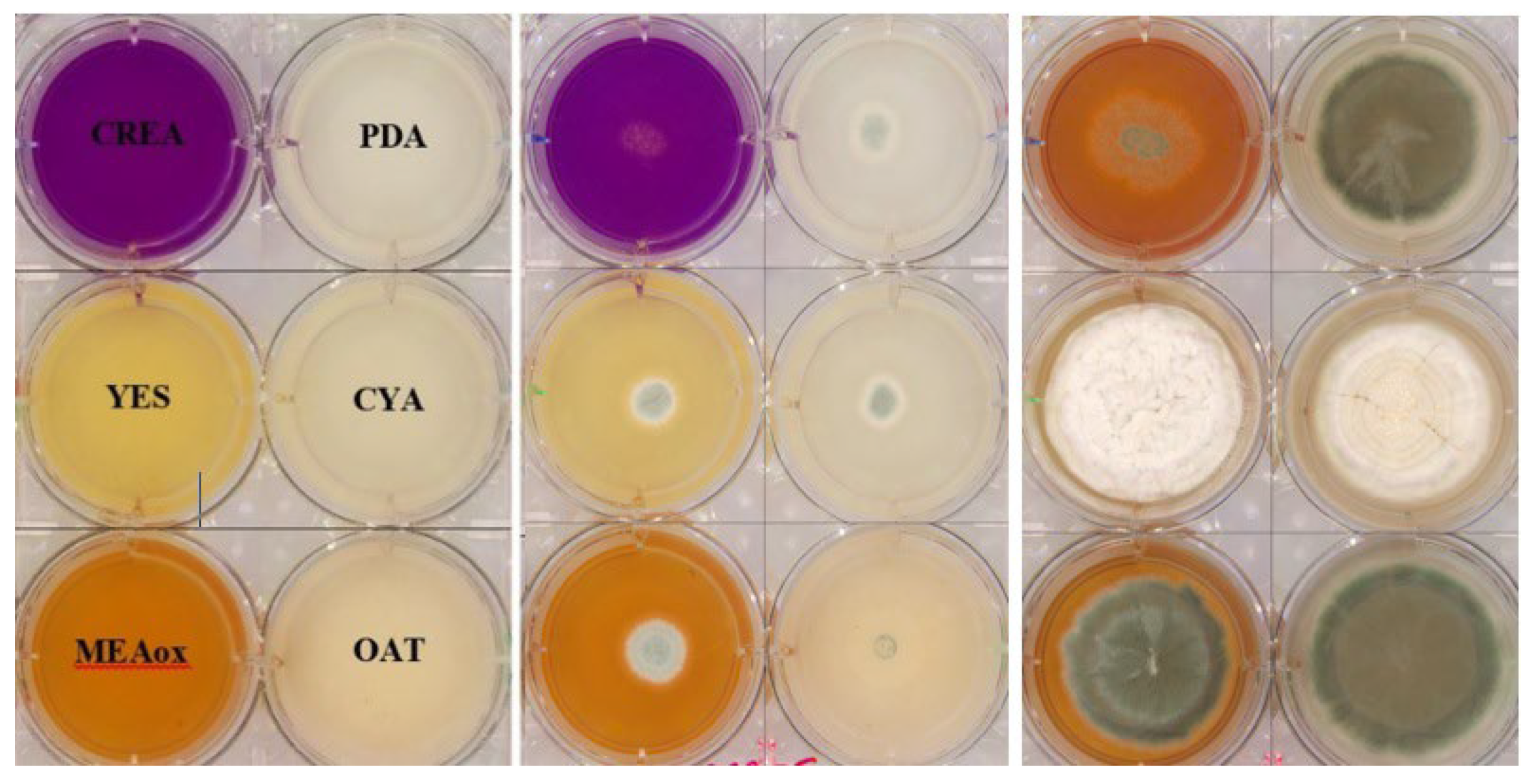 Information 16 00109 g002