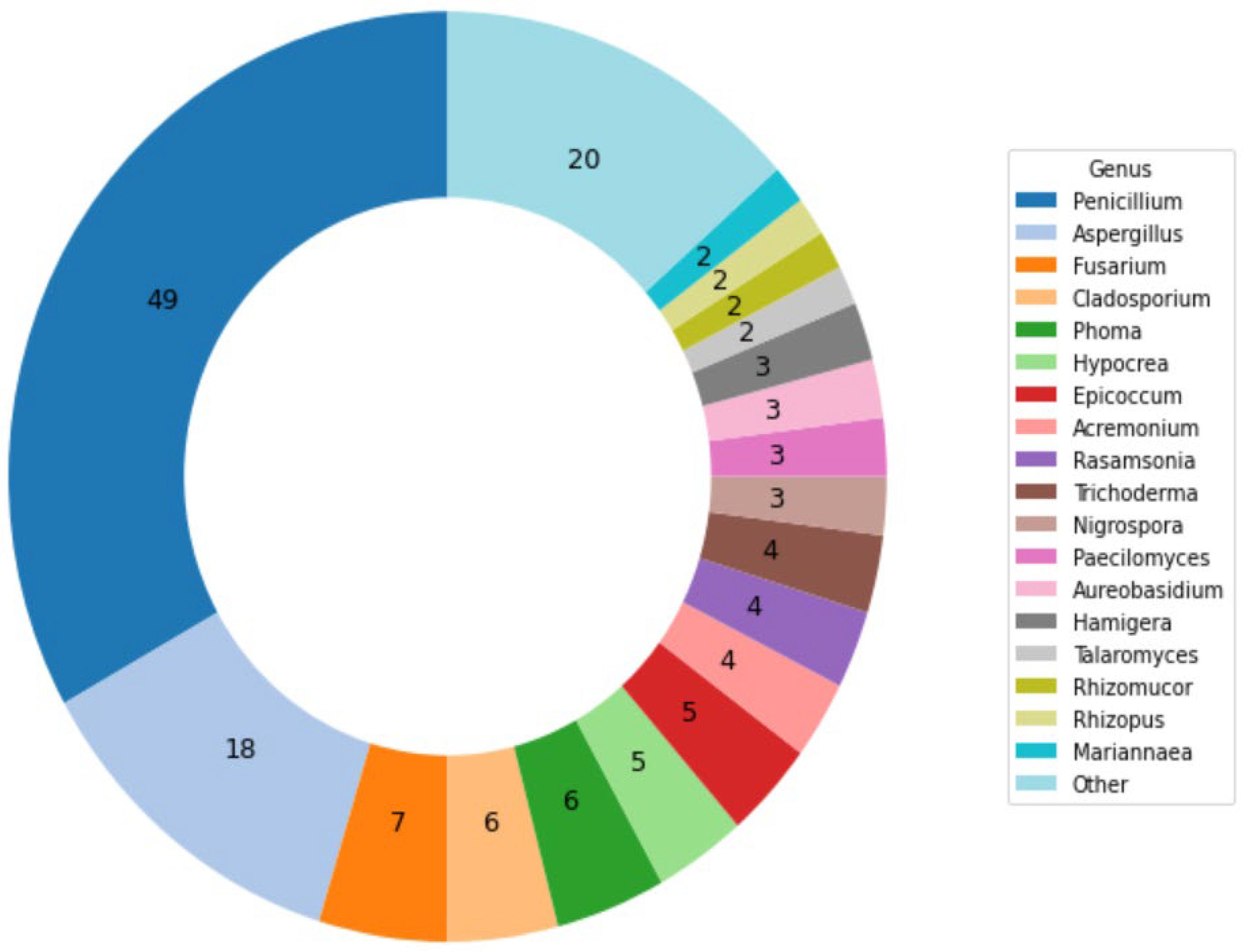 Information 16 00109 g003