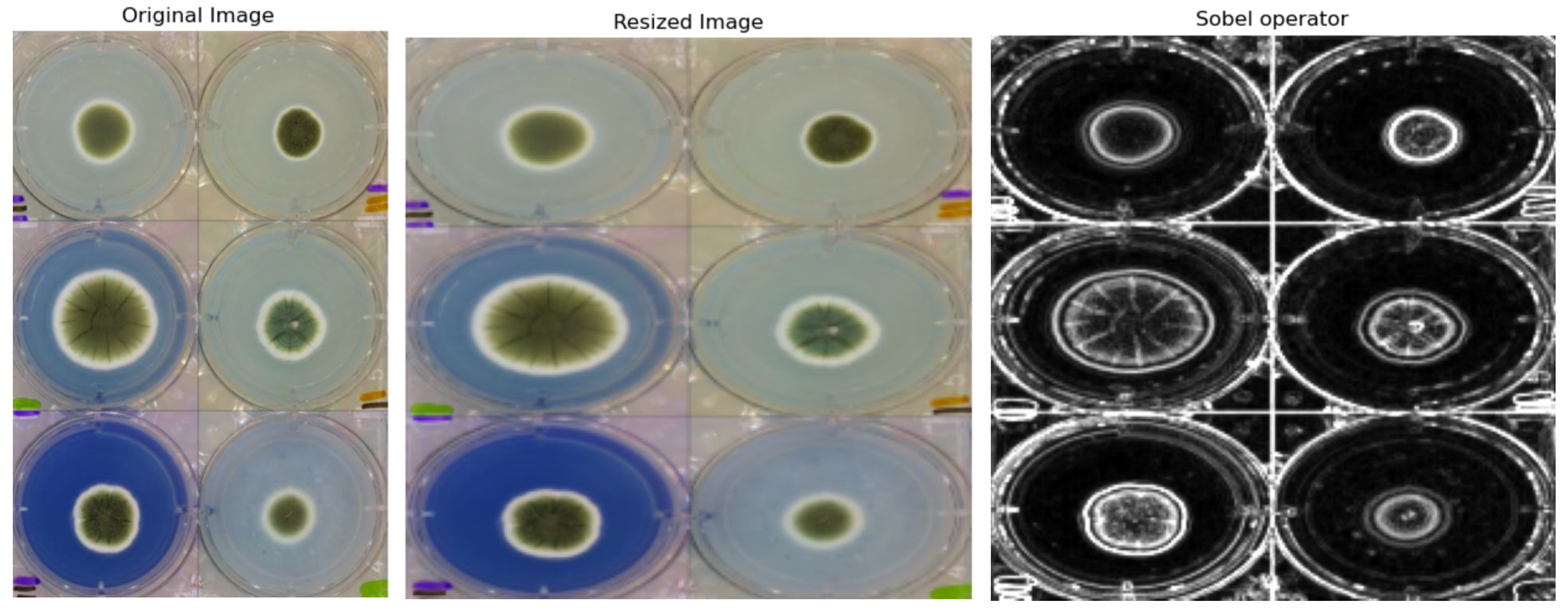 Information 16 00109 g004