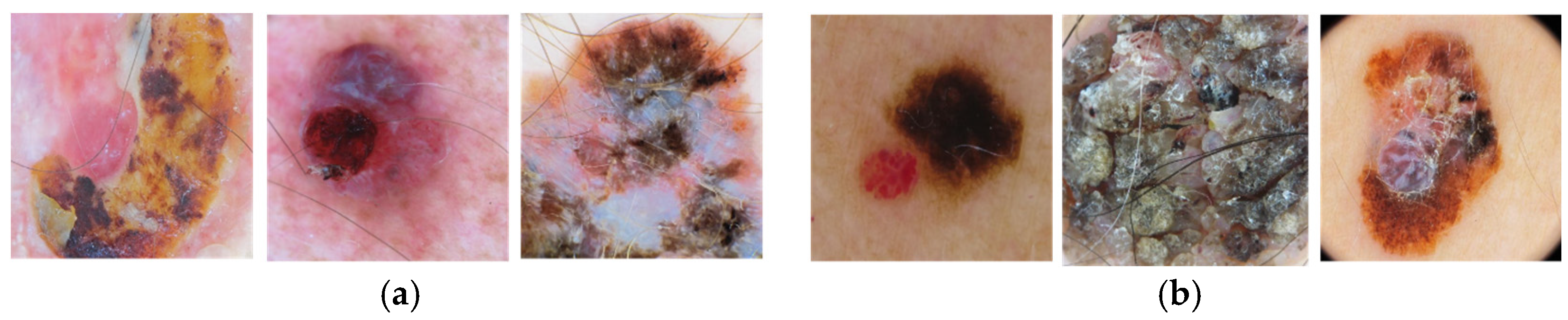 Information 16 00120 g001