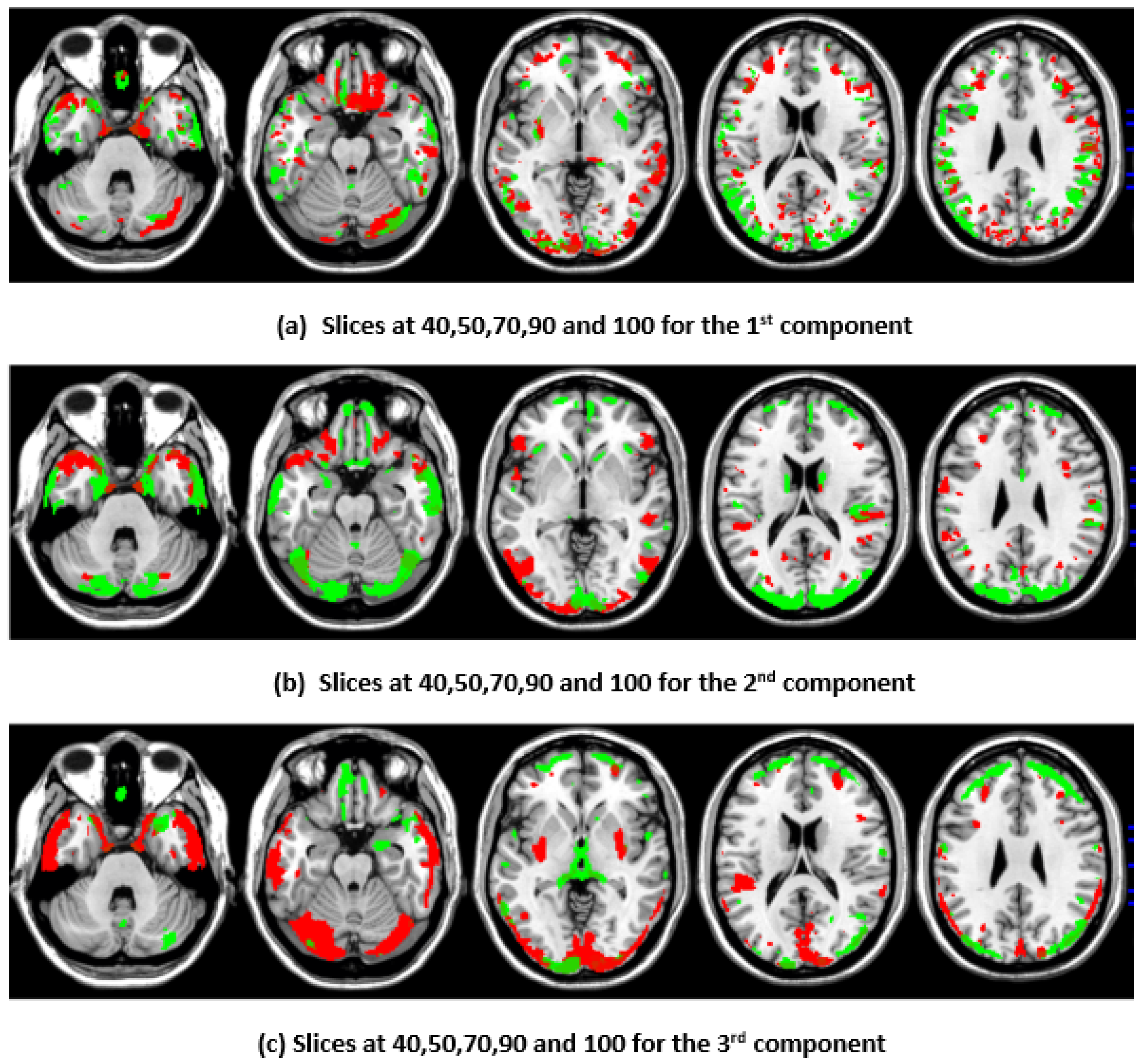 福袋・半額ポスター - クリーニング屋さん専用の通 Patterns: Growth Brain Multimodal Insights Canonical from 健康/医学