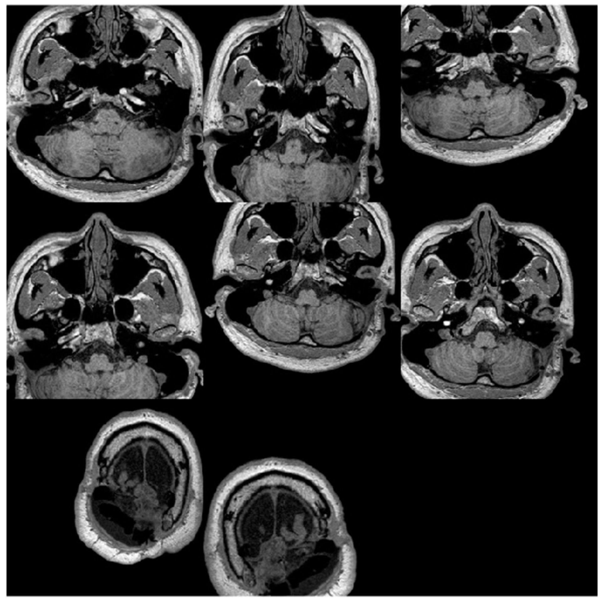 Information 16 00188 g003