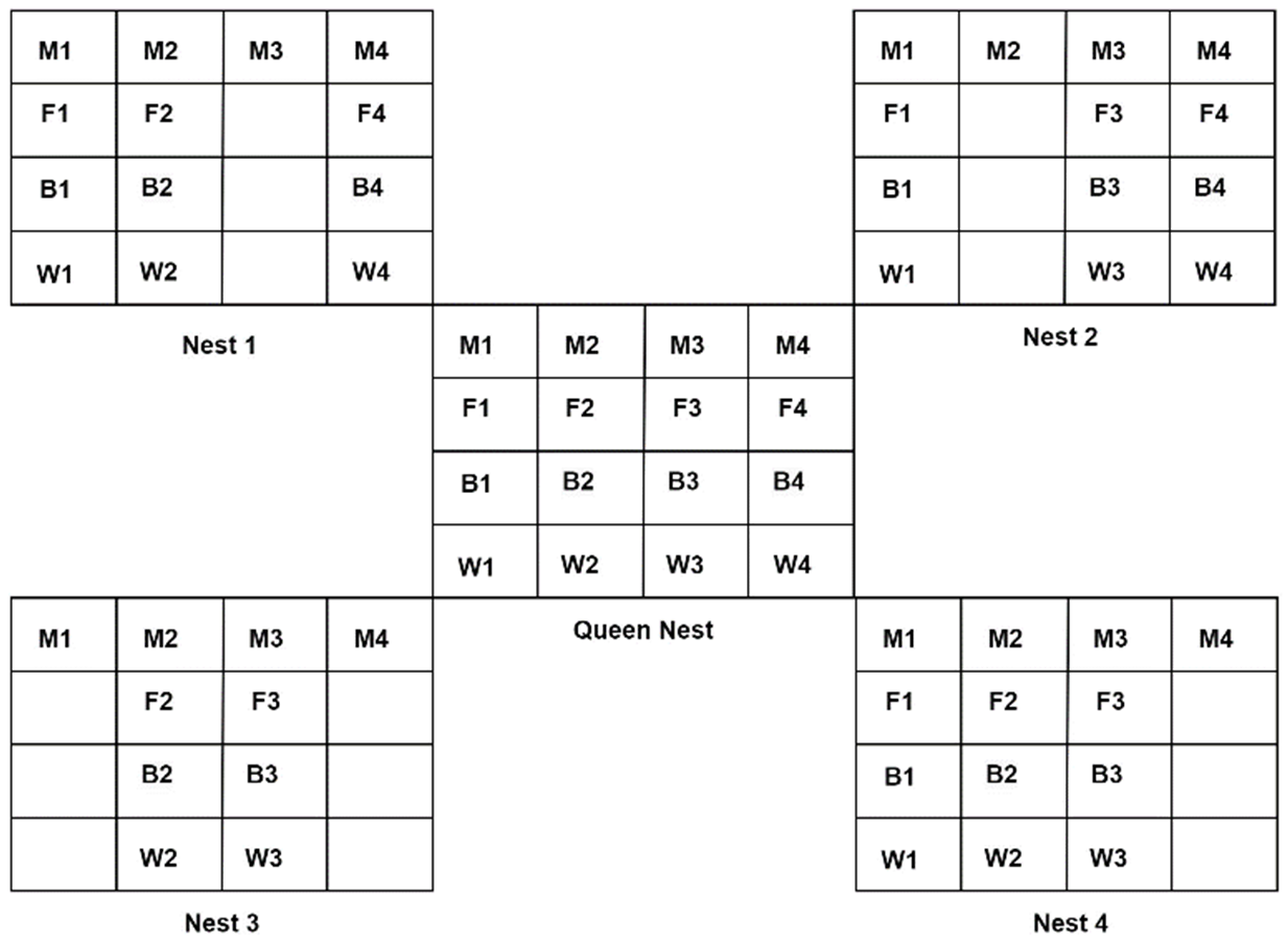 Information 16 00207 g003 Information 16 00207 g003