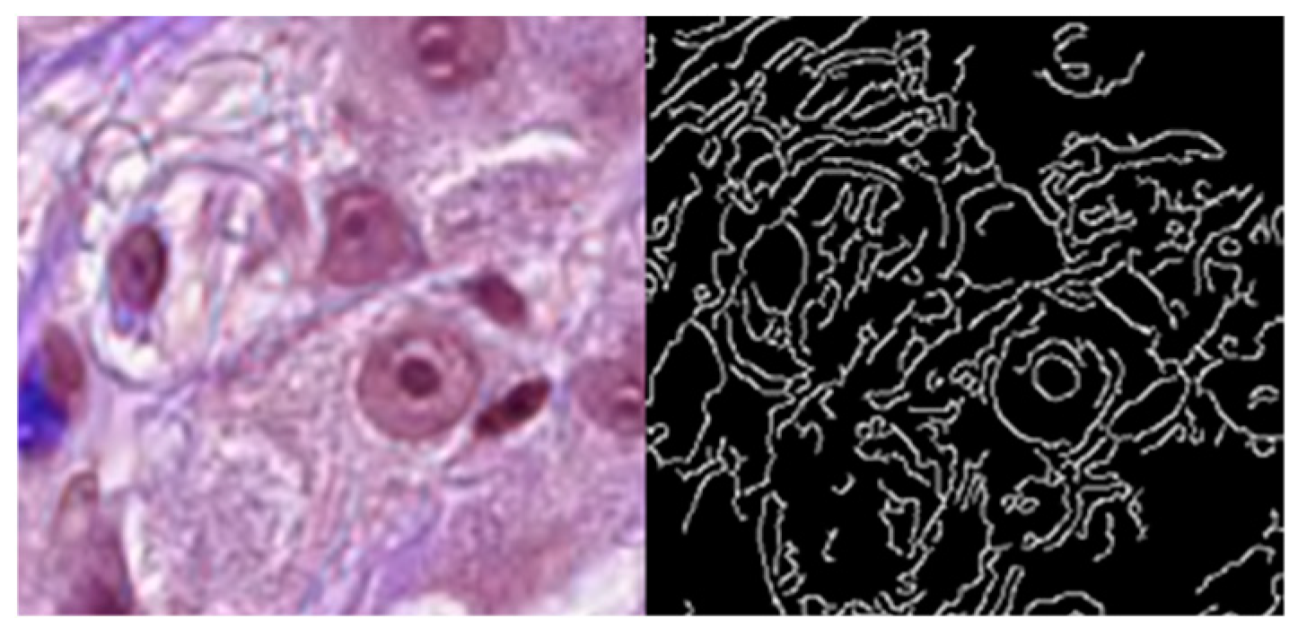 Information 16 00295 g002