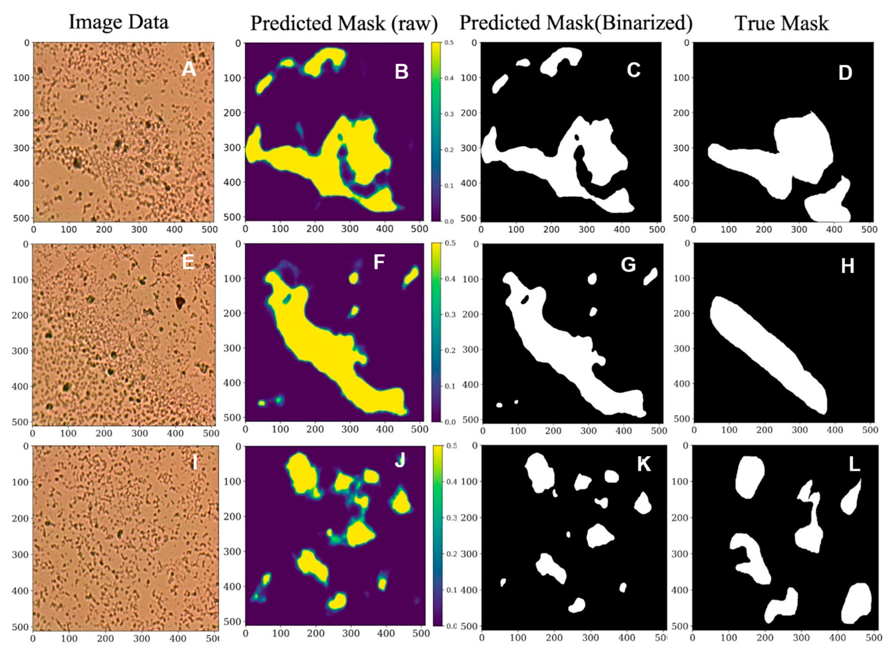 Information 16 00309 g003