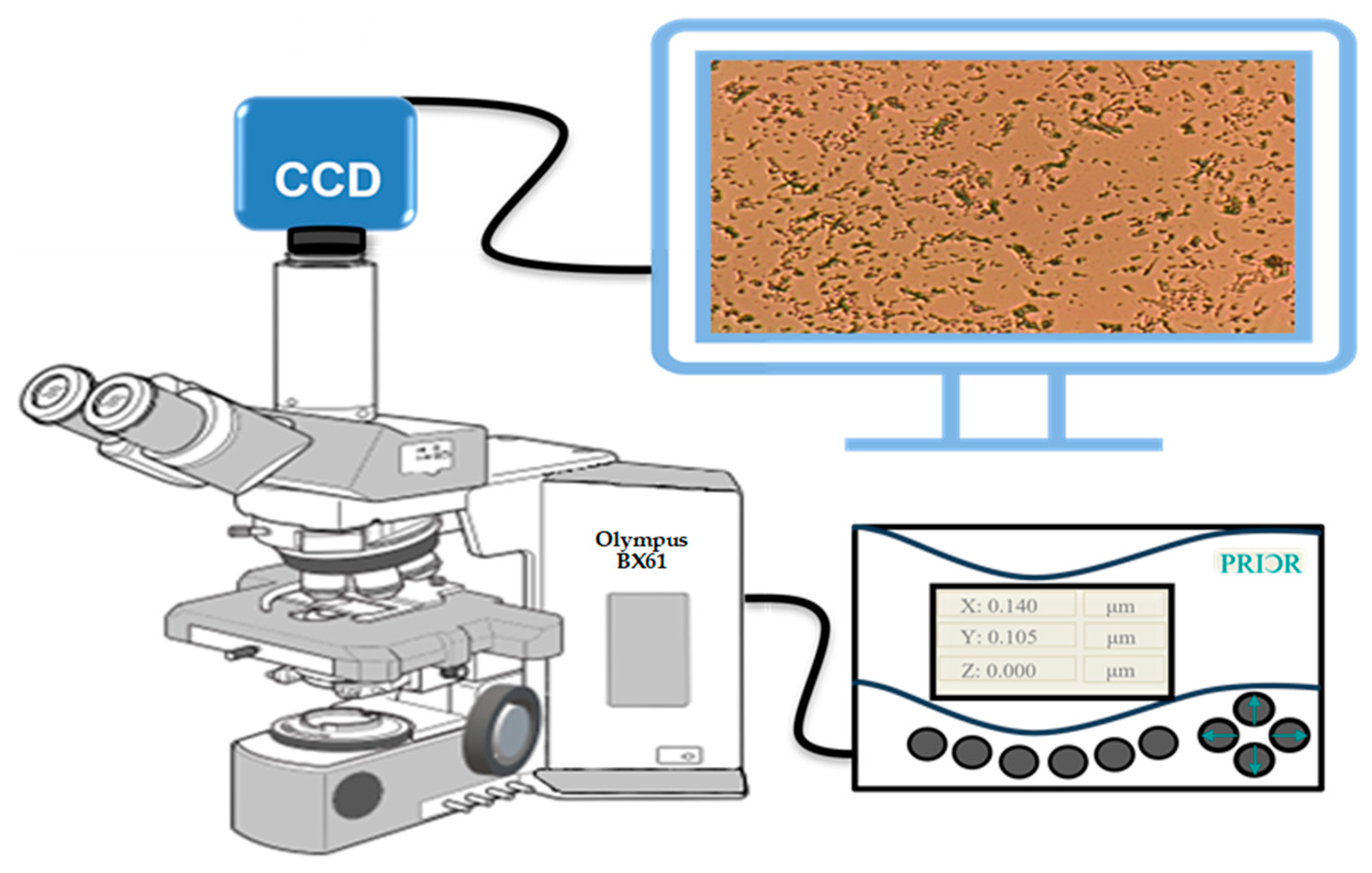 Information 16 00309 g004