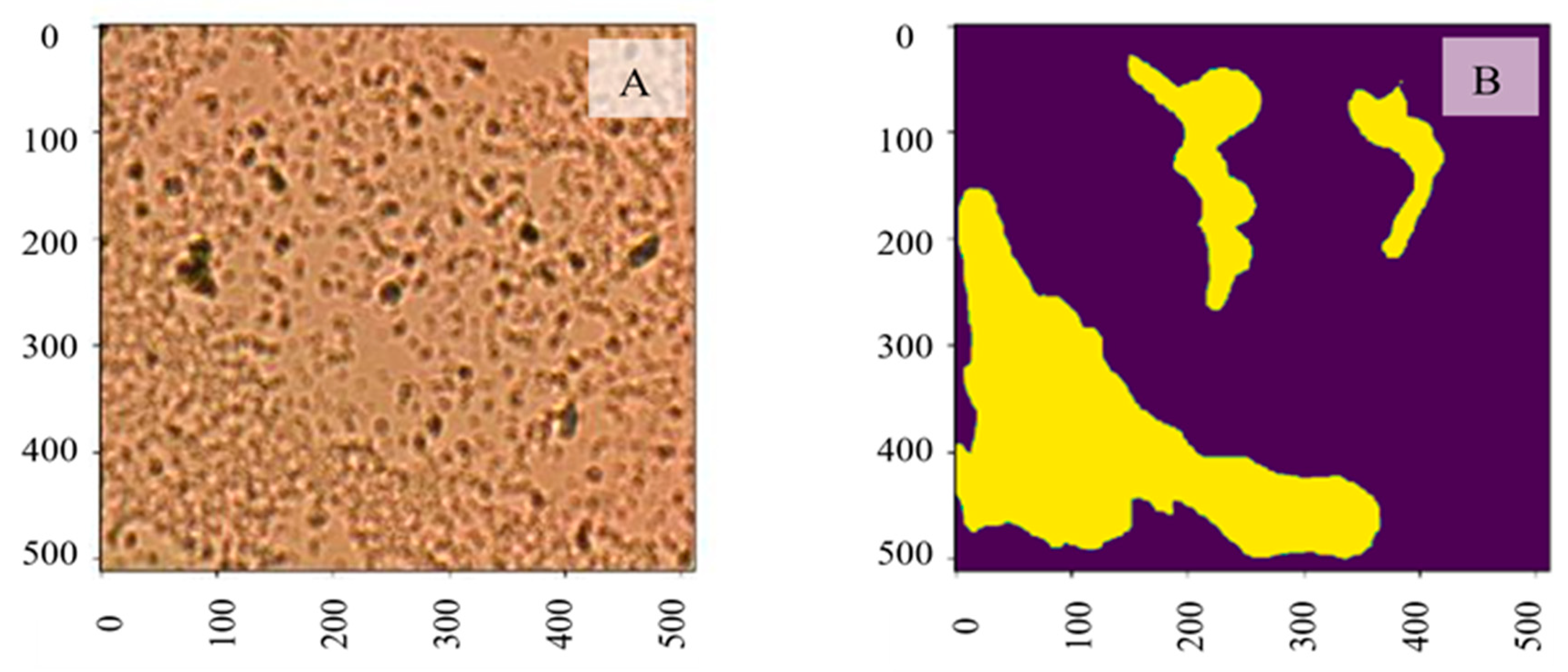 Information 16 00309 g005