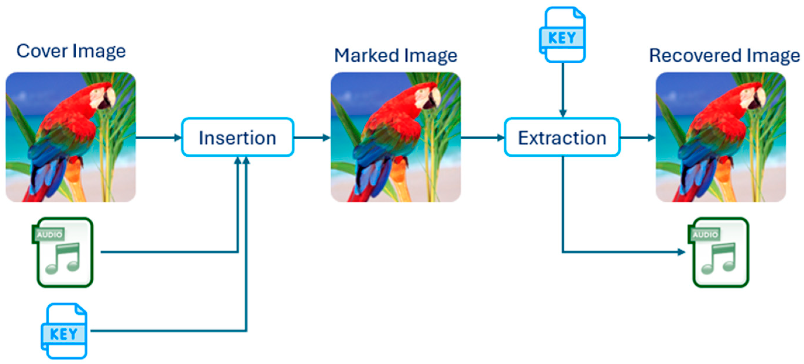 Information 16 00322 g002