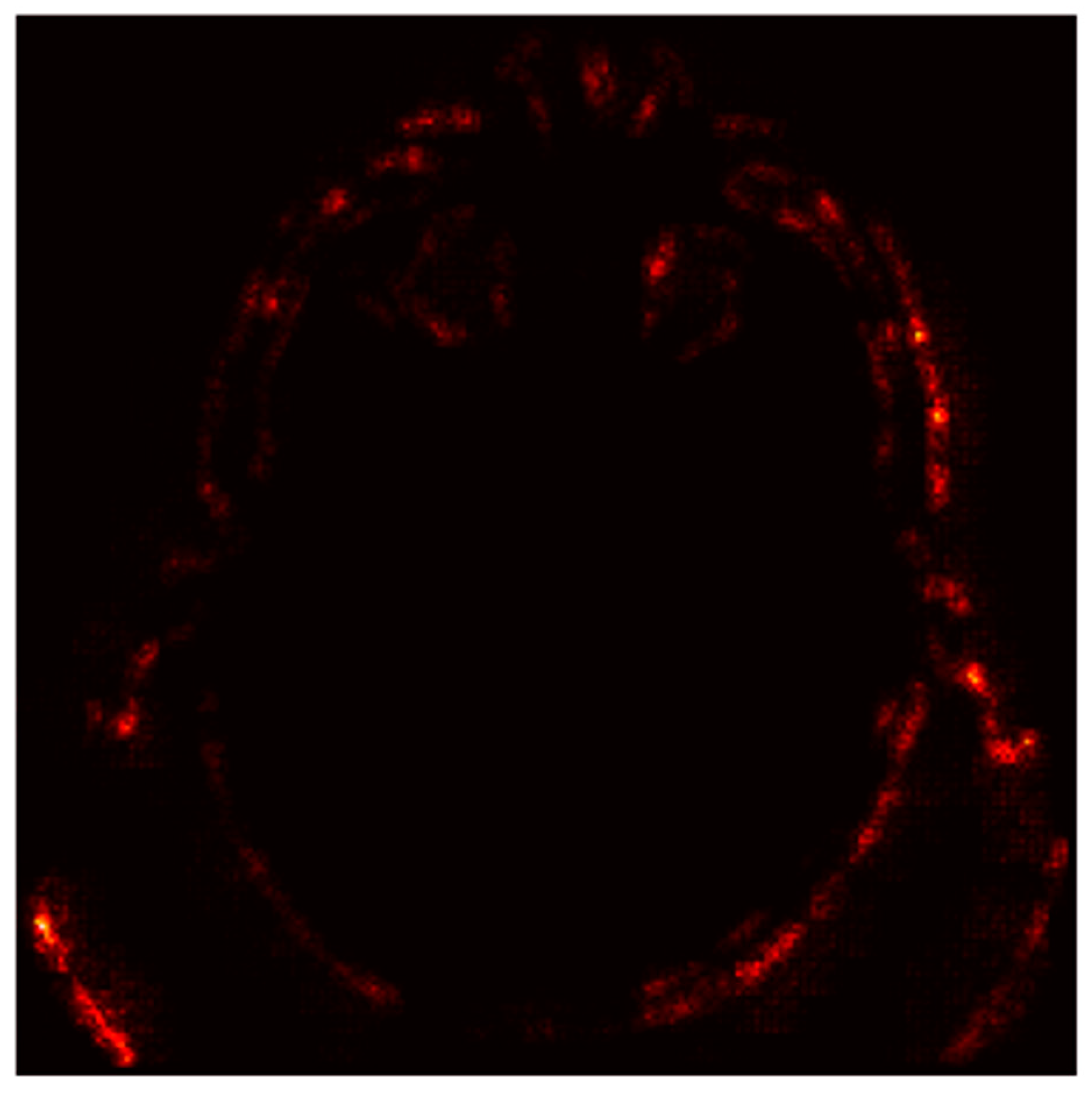 Information 16 00345 g010