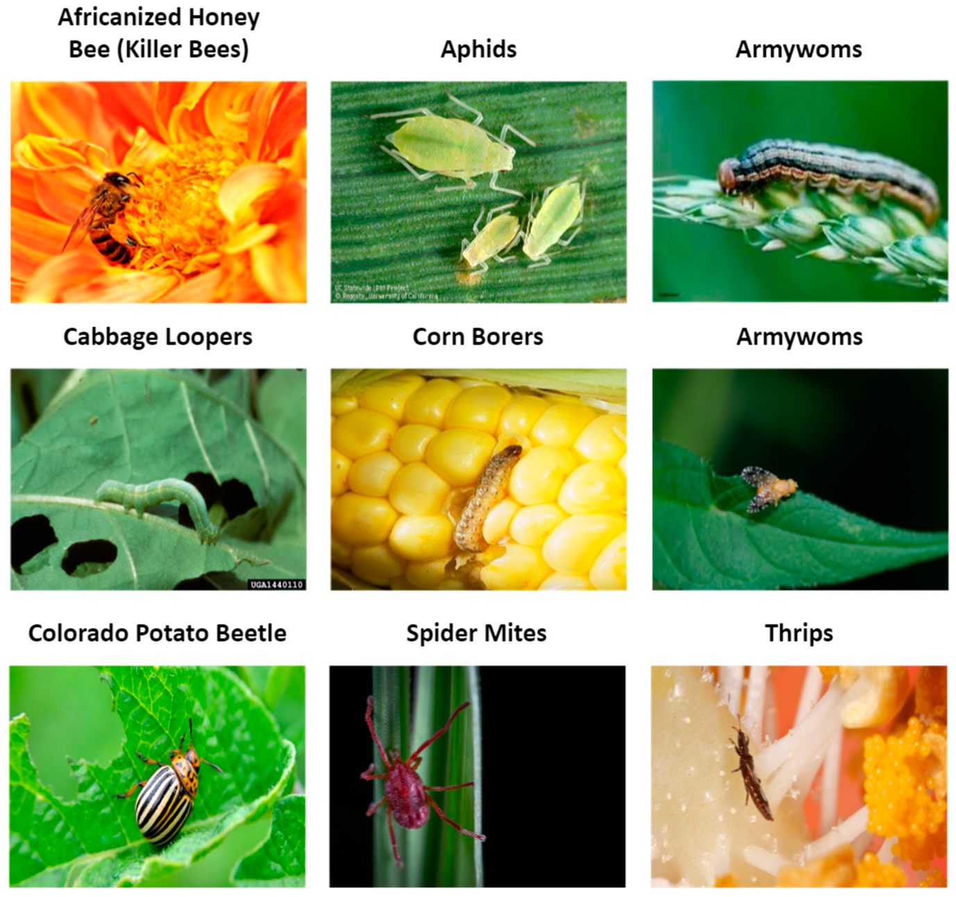 Information 16 00348 g001