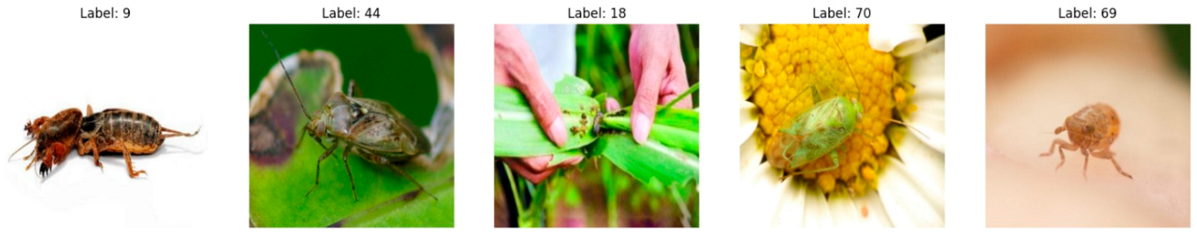 Information 16 00348 g002