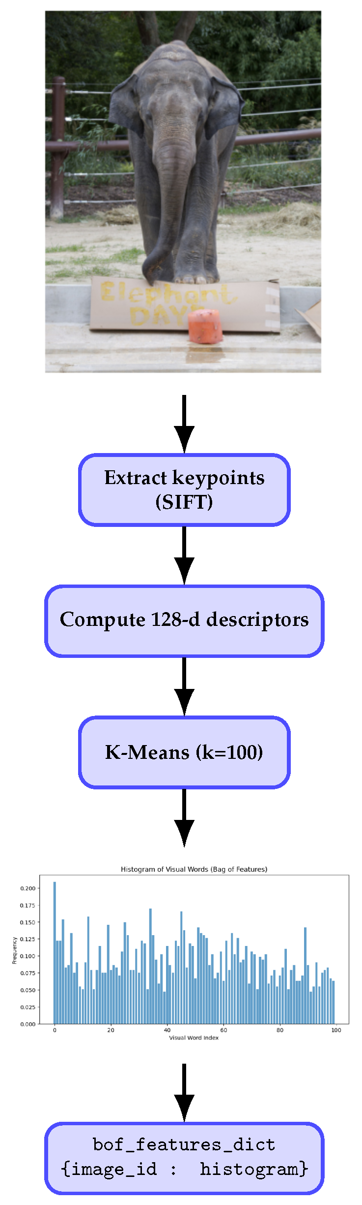 Information 16 00356 g001