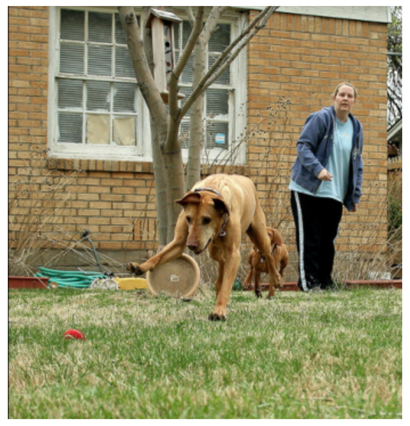 Information 16 00356 g0a14