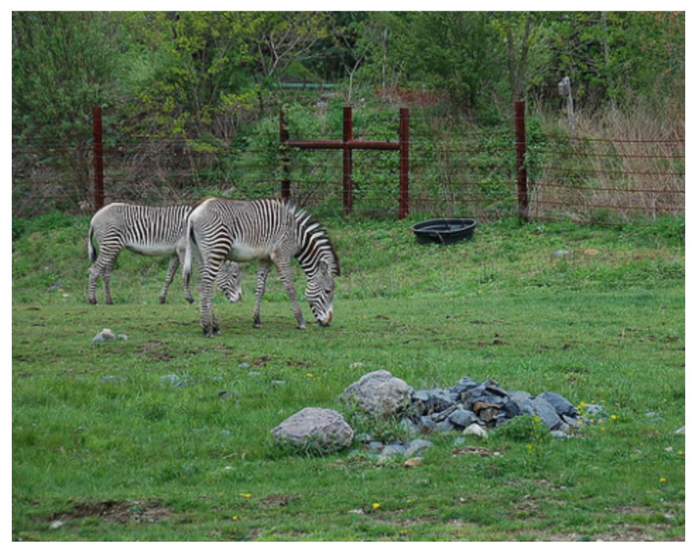 Information 16 00356 g0a5