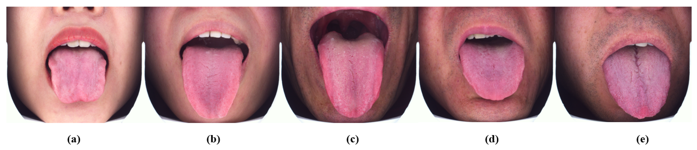 Information 16 00357 g002