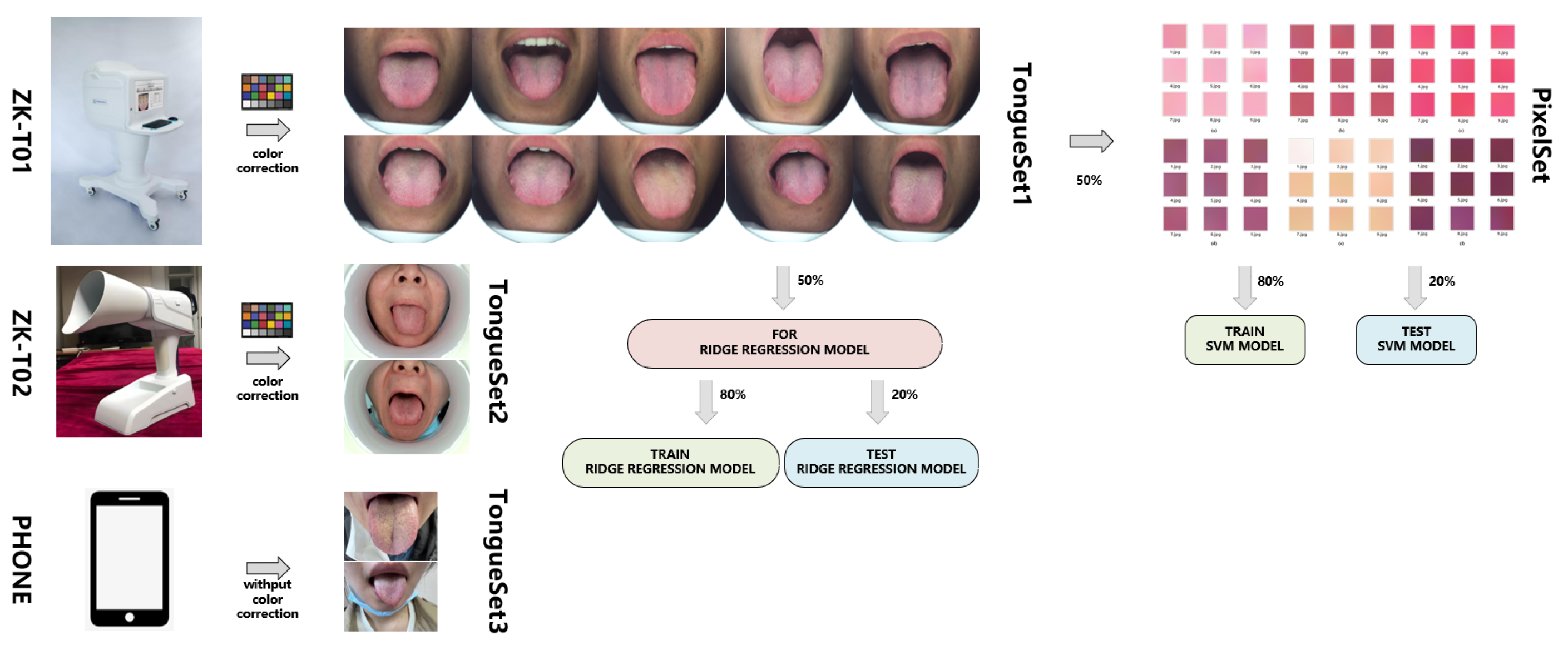 Information 16 00357 g004