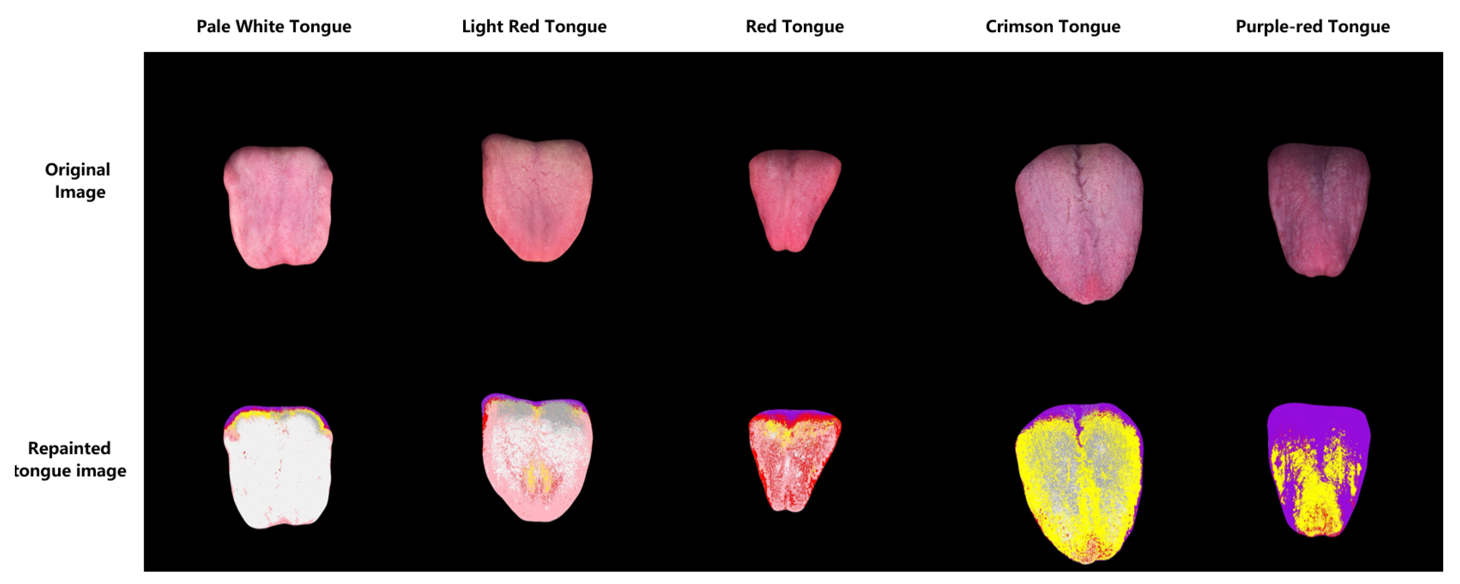 Information 16 00357 g009
