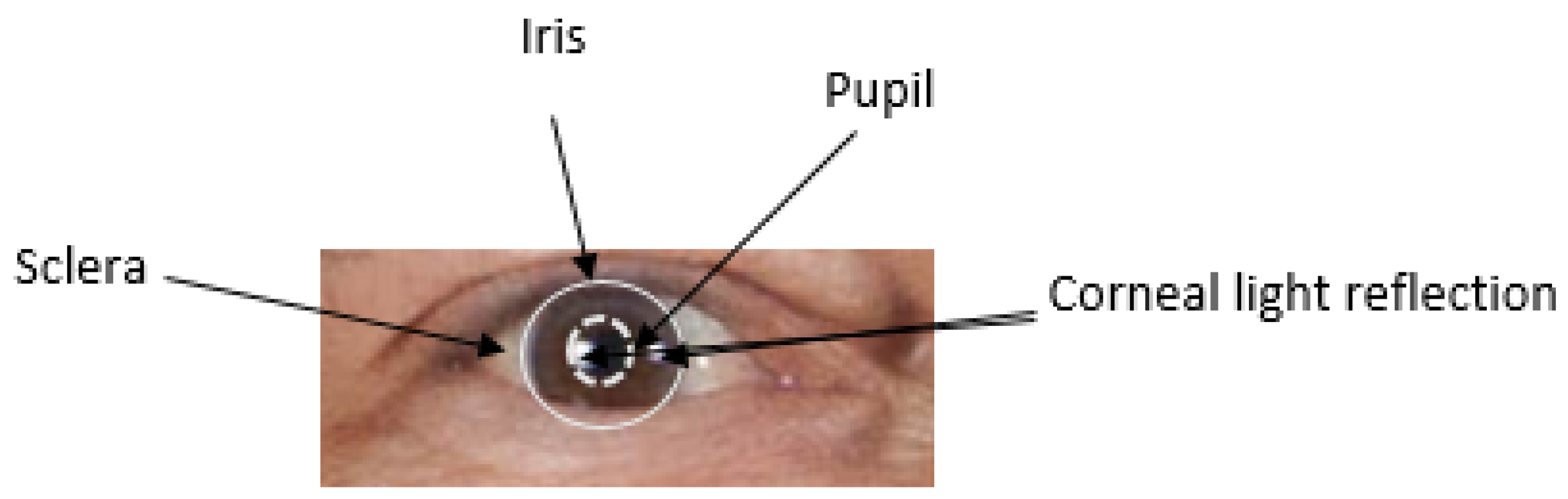 Information 16 00371 g002