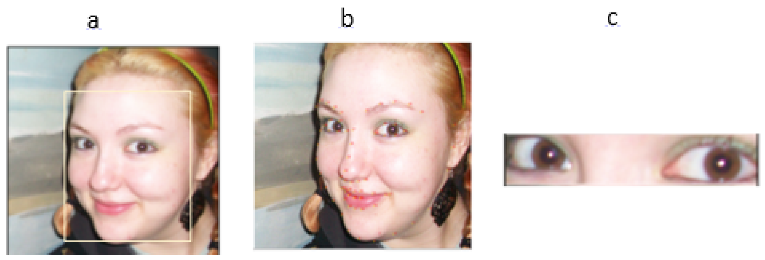 Information 16 00371 g004