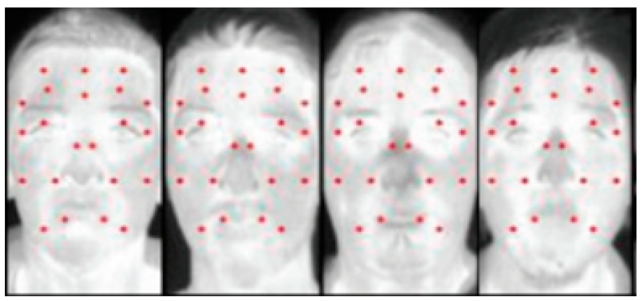 Information 16 00413 g001 Information 16 00413 g001