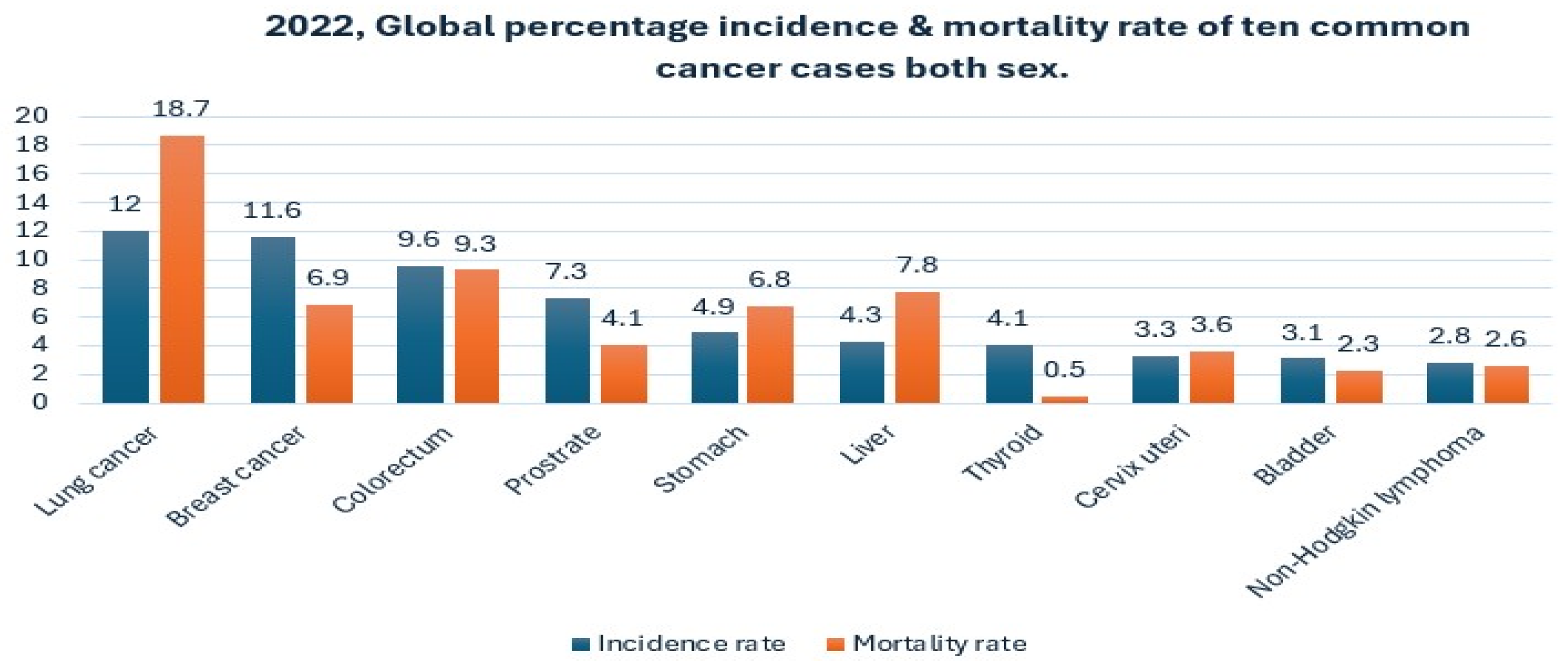 Information 16 00451 g001