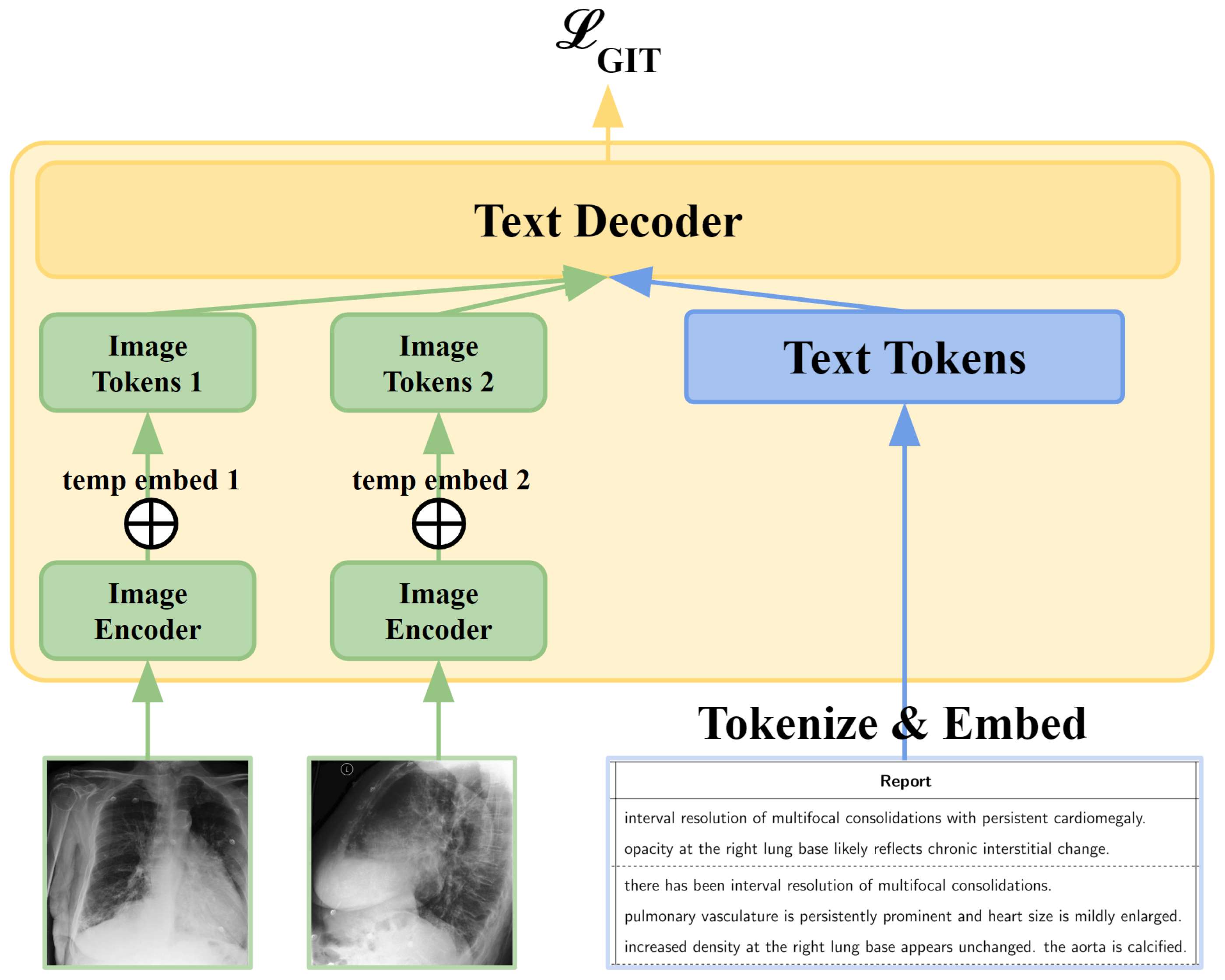 Information 16 00524 g003