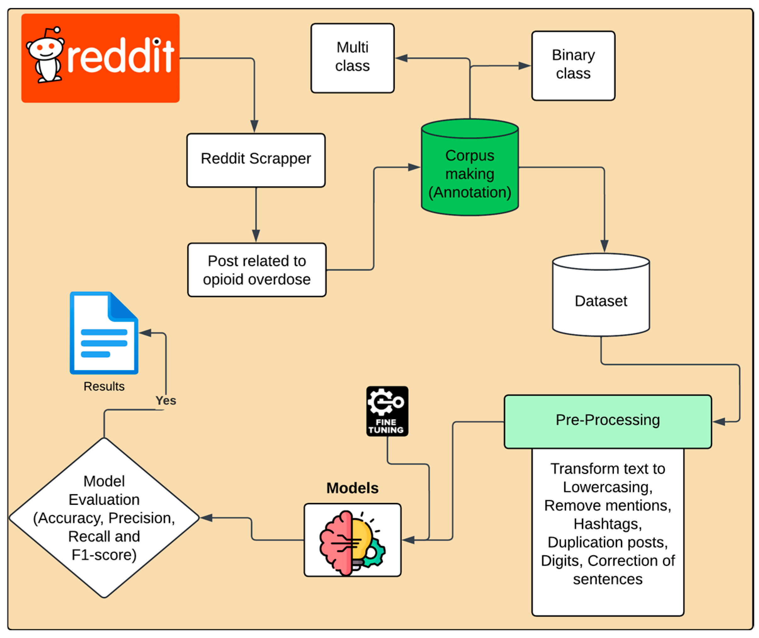 Information 16 00545 g001