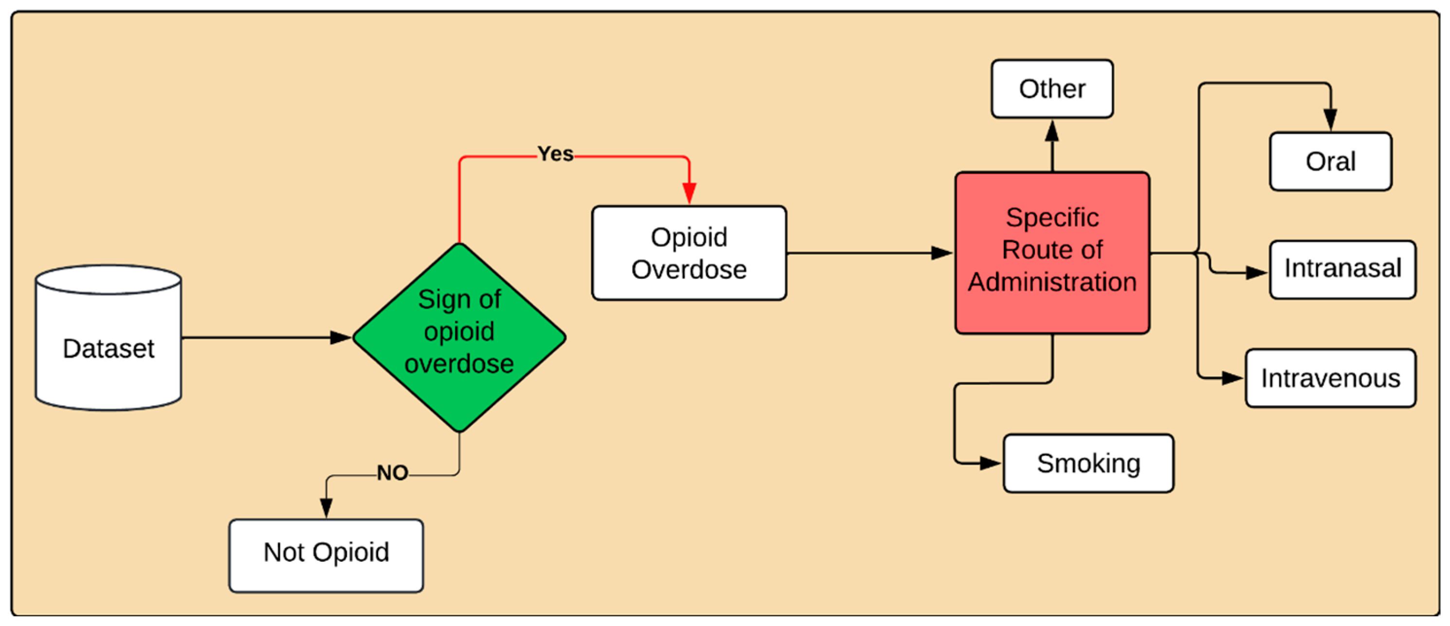 Information 16 00545 g002