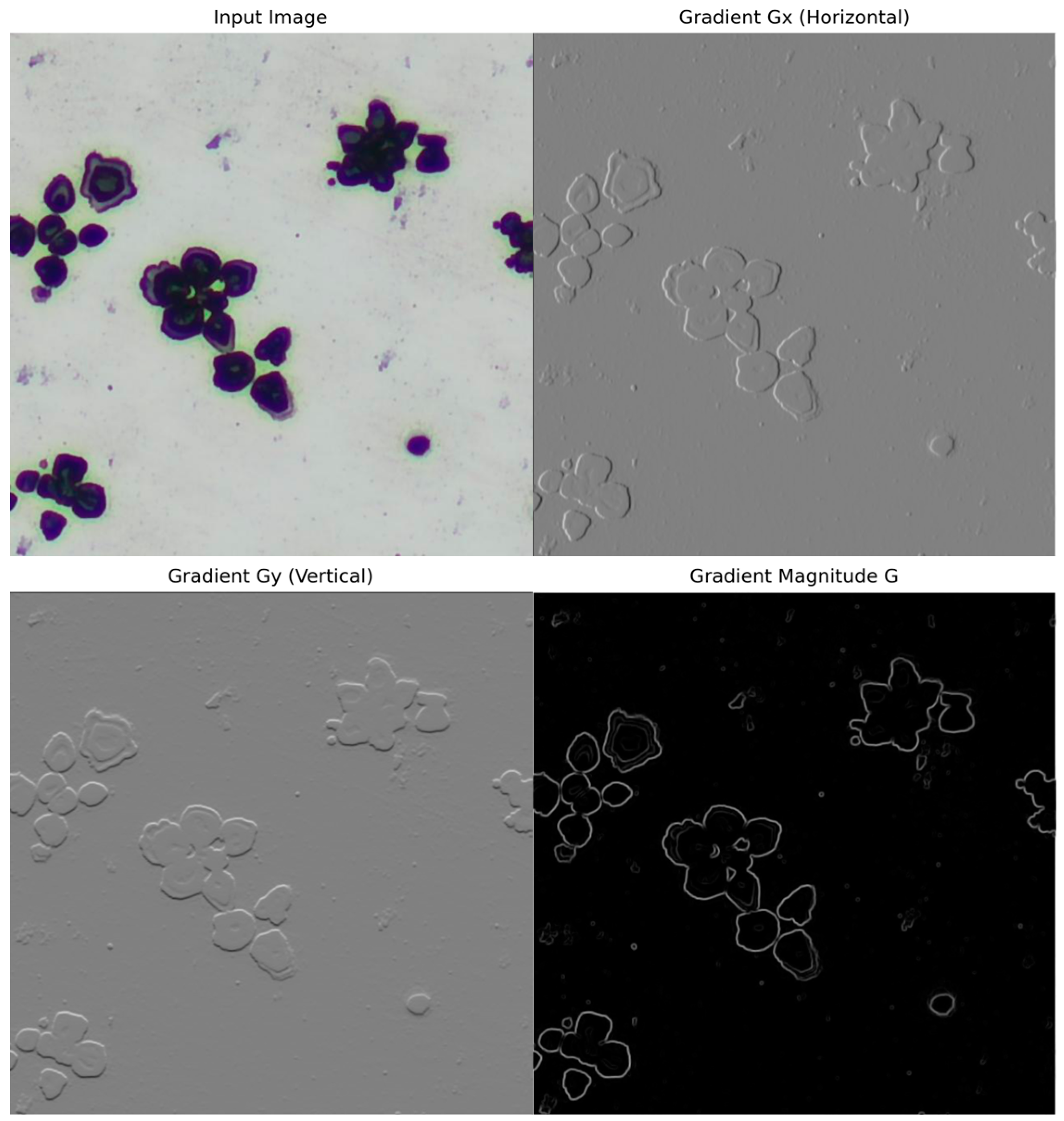 Information 16 00570 g005