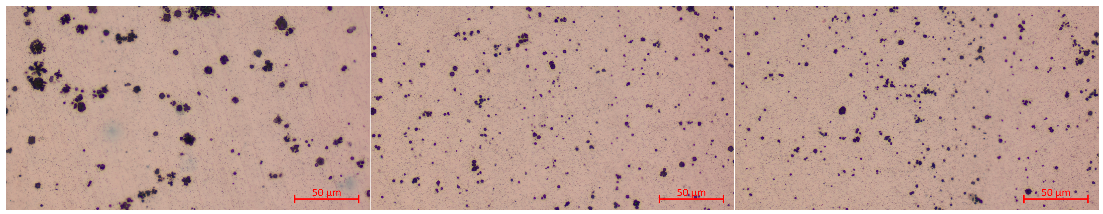 Information 16 00570 g011