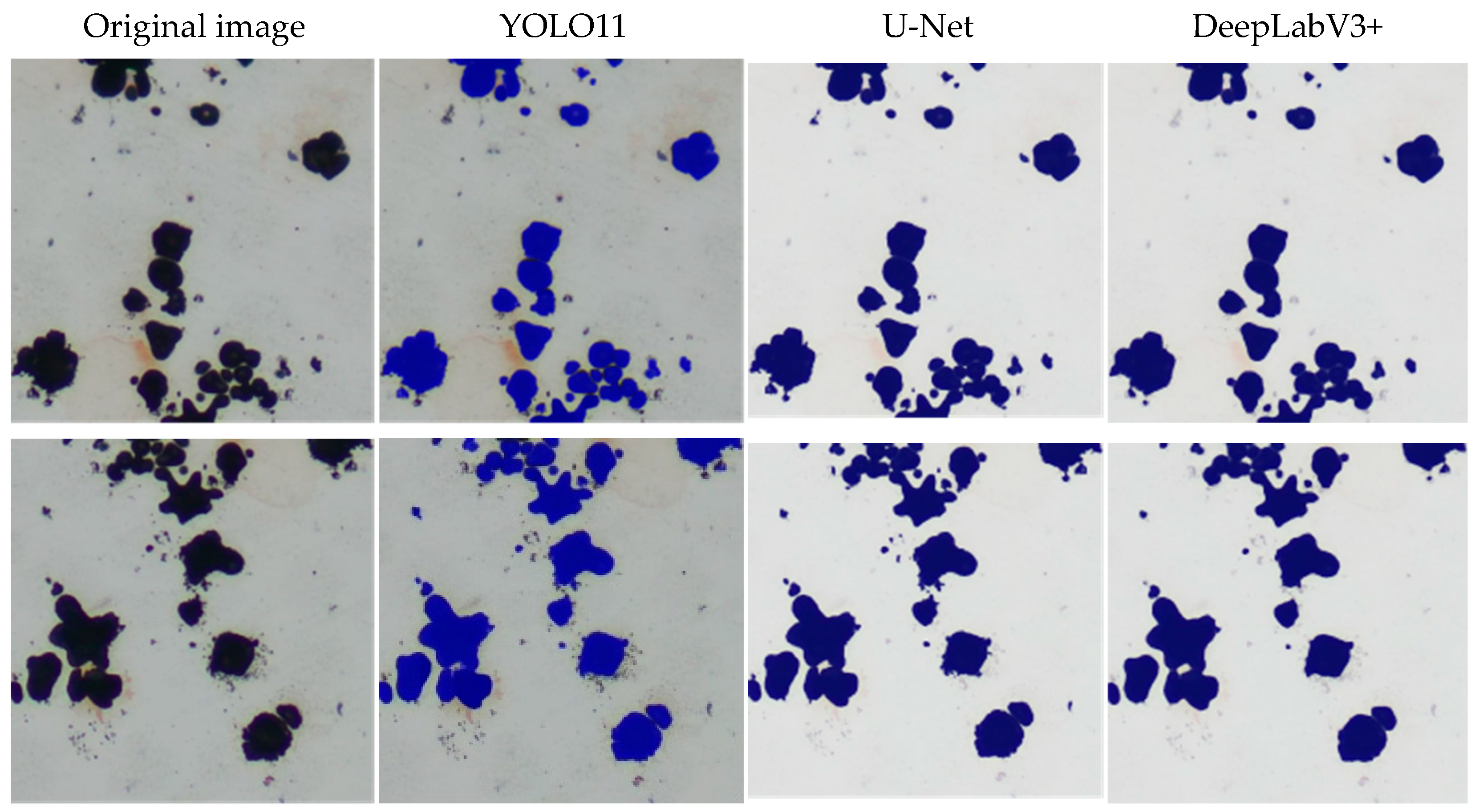 Information 16 00570 g013