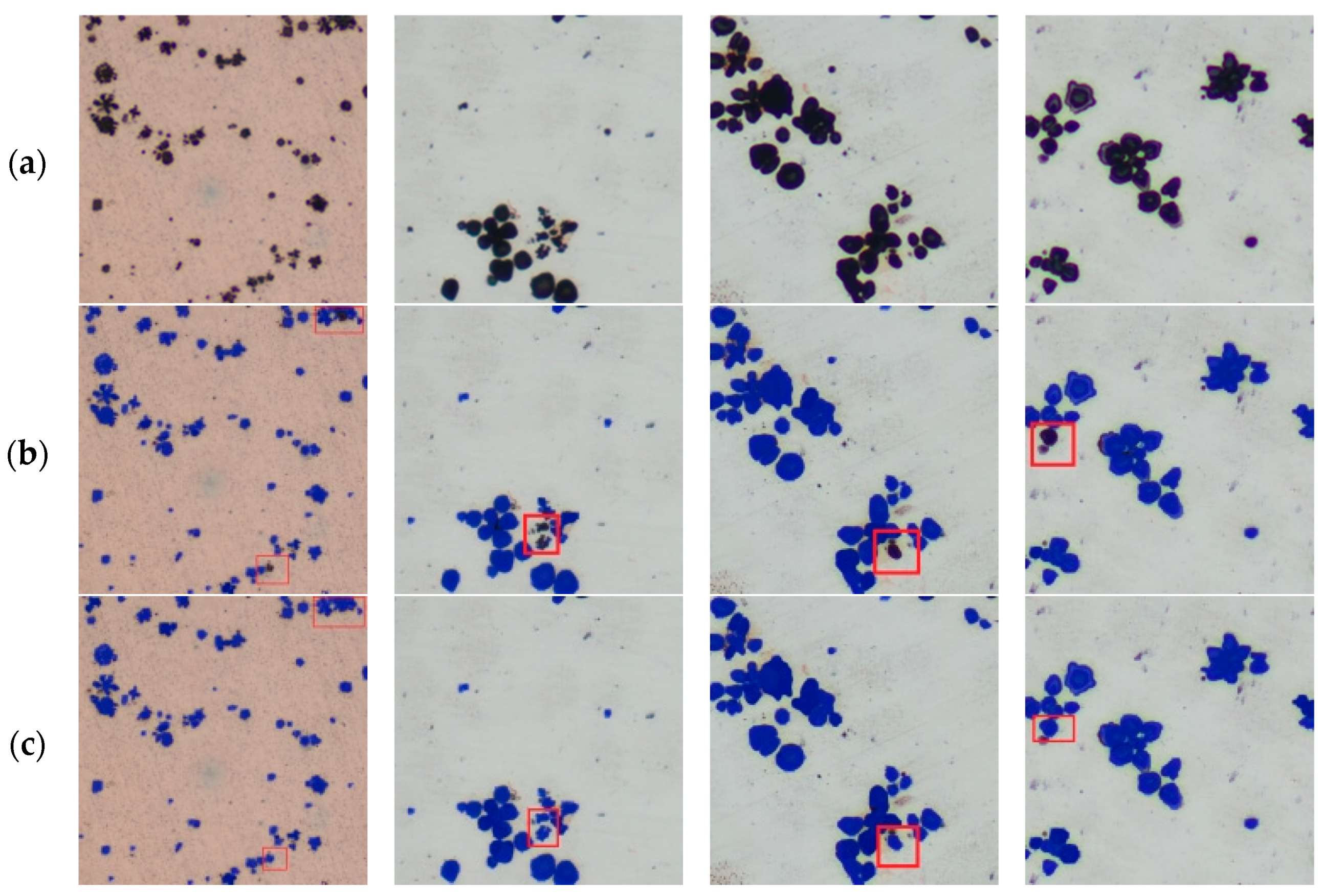 Information 16 00570 g015