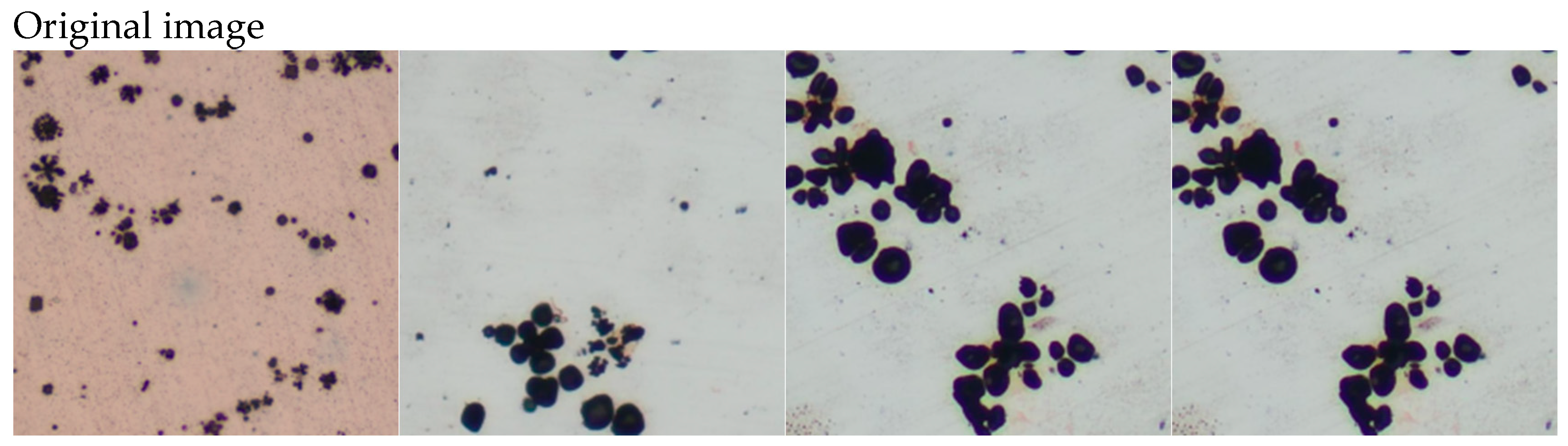 Information 16 00570 g016a