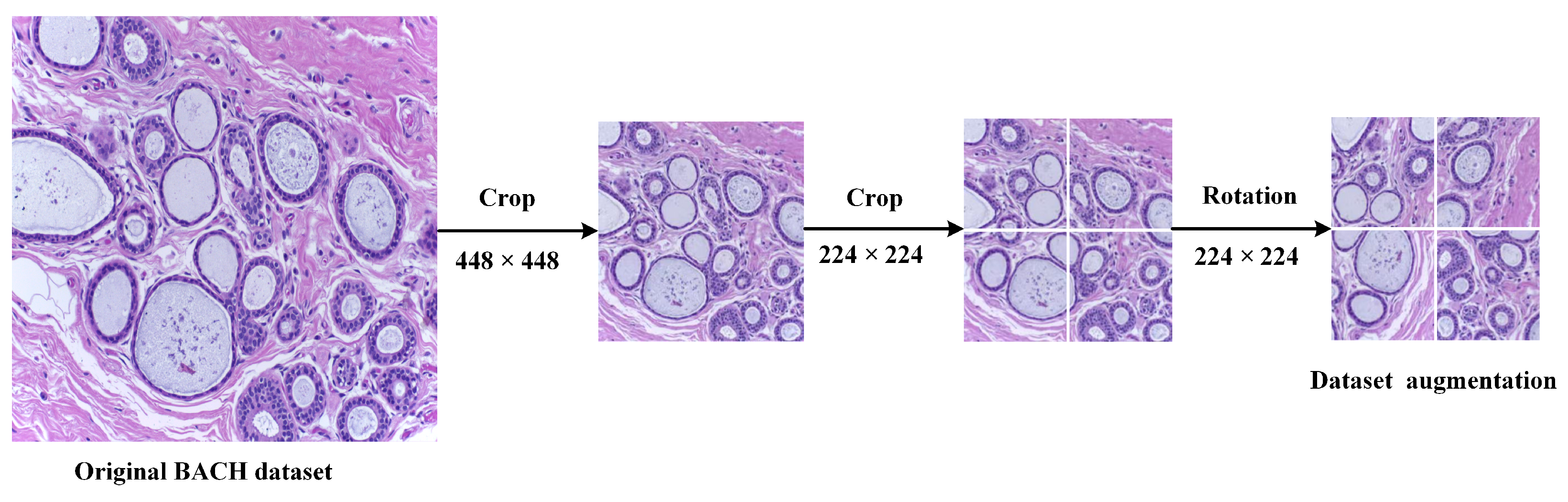 Information 16 00579 g001